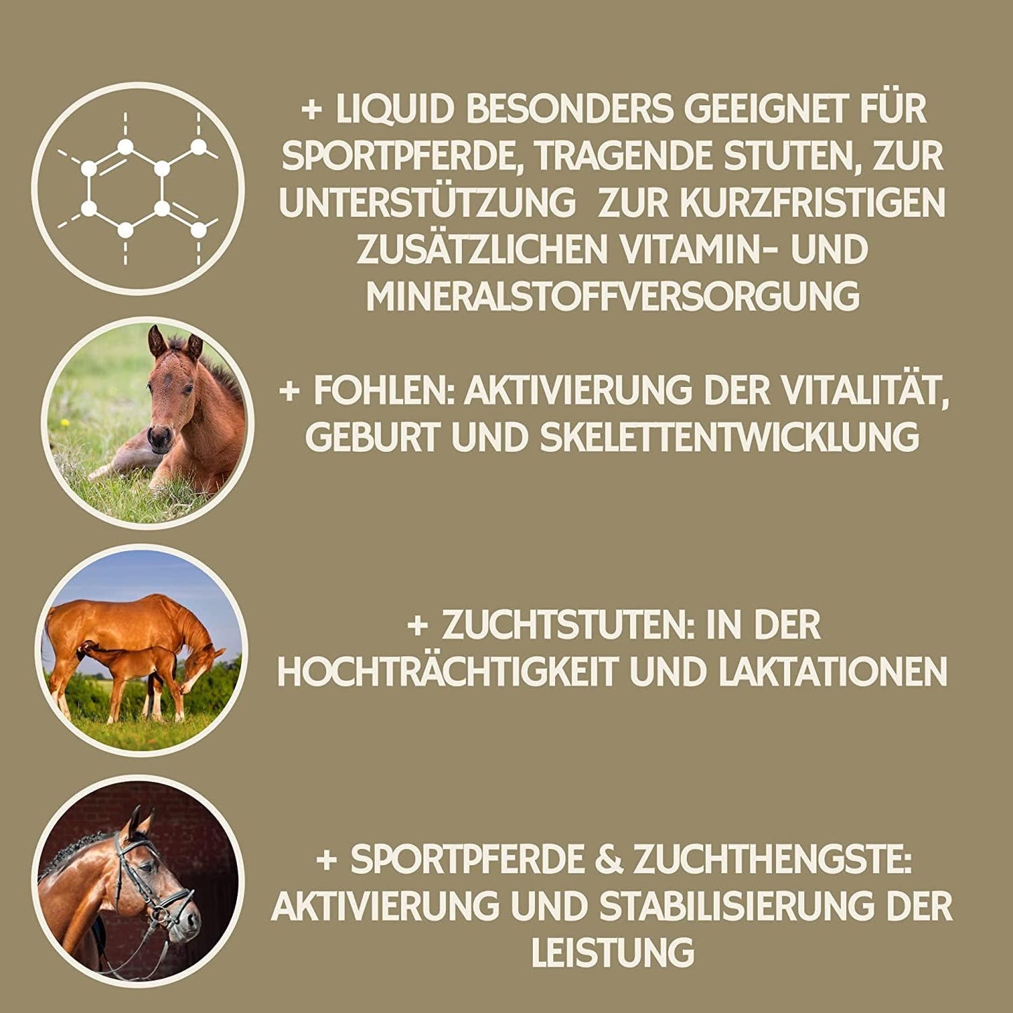 Power fürs Pferd, SPARSET,  Multivitamin plus Zink, Vitamin E + Vitamin Power BOOSTER