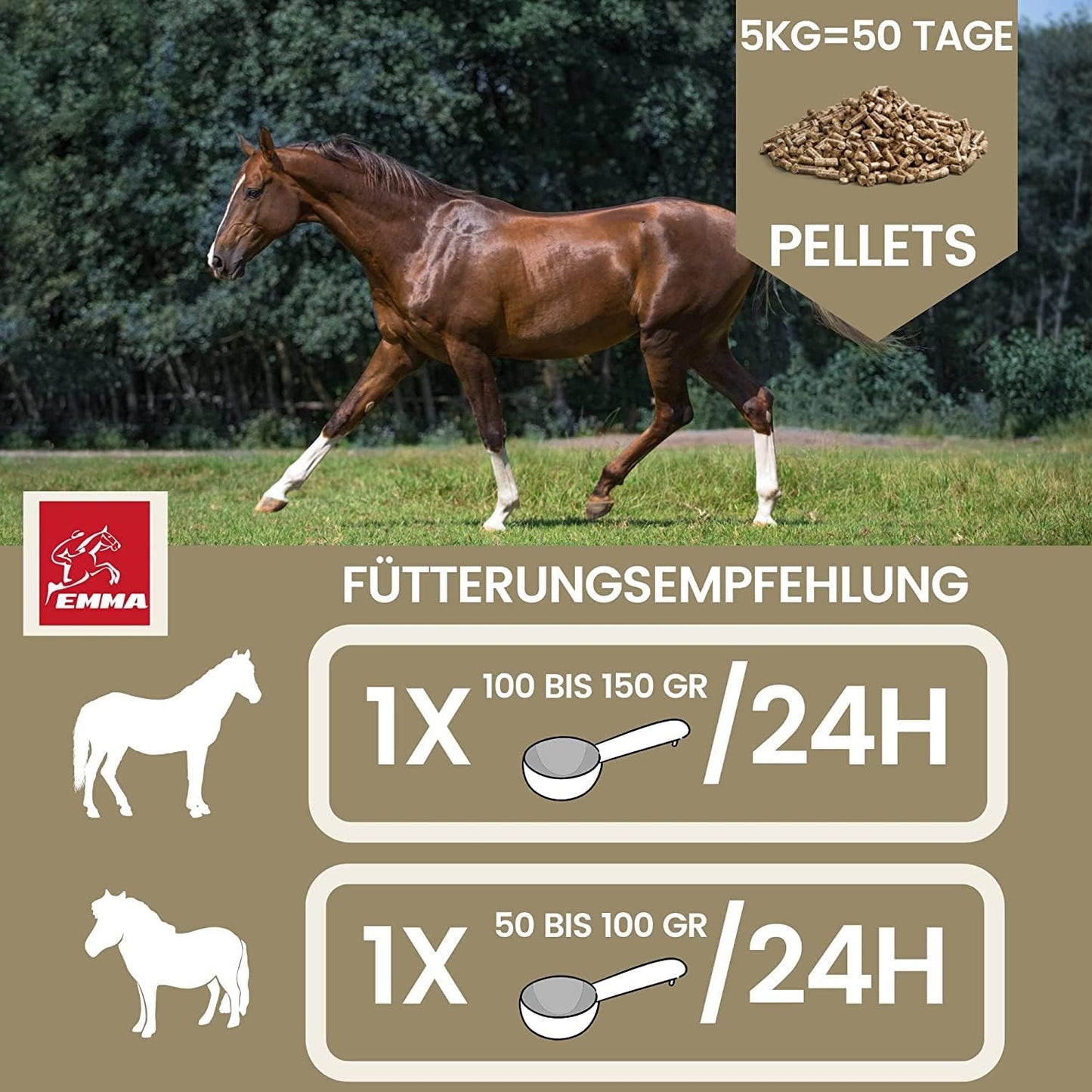 Haut, Fell & Huf vital, SPARSET, Mineralien & Vitamine Power