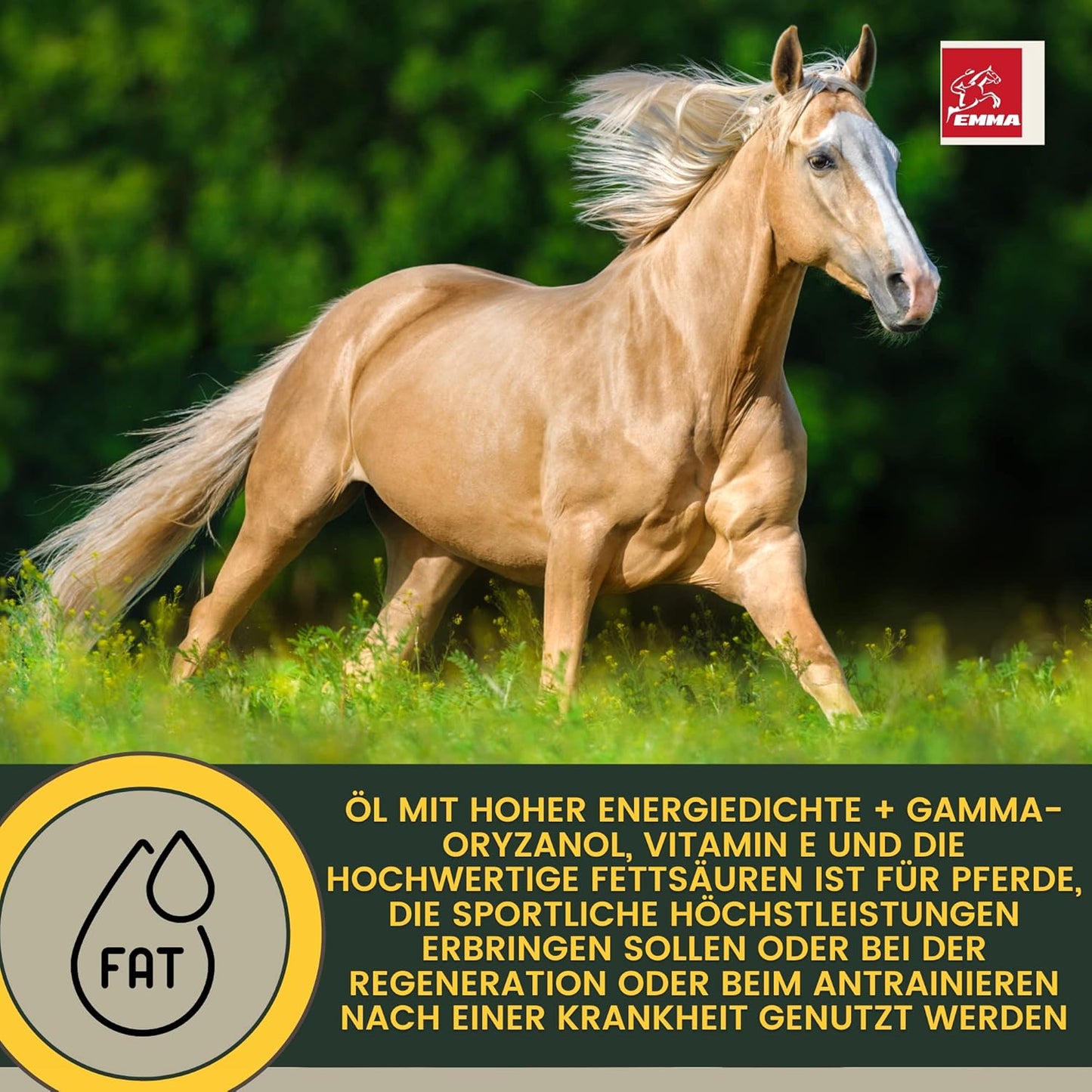 Ergänzungsfutter für den Muskelaufbau, SPARSET