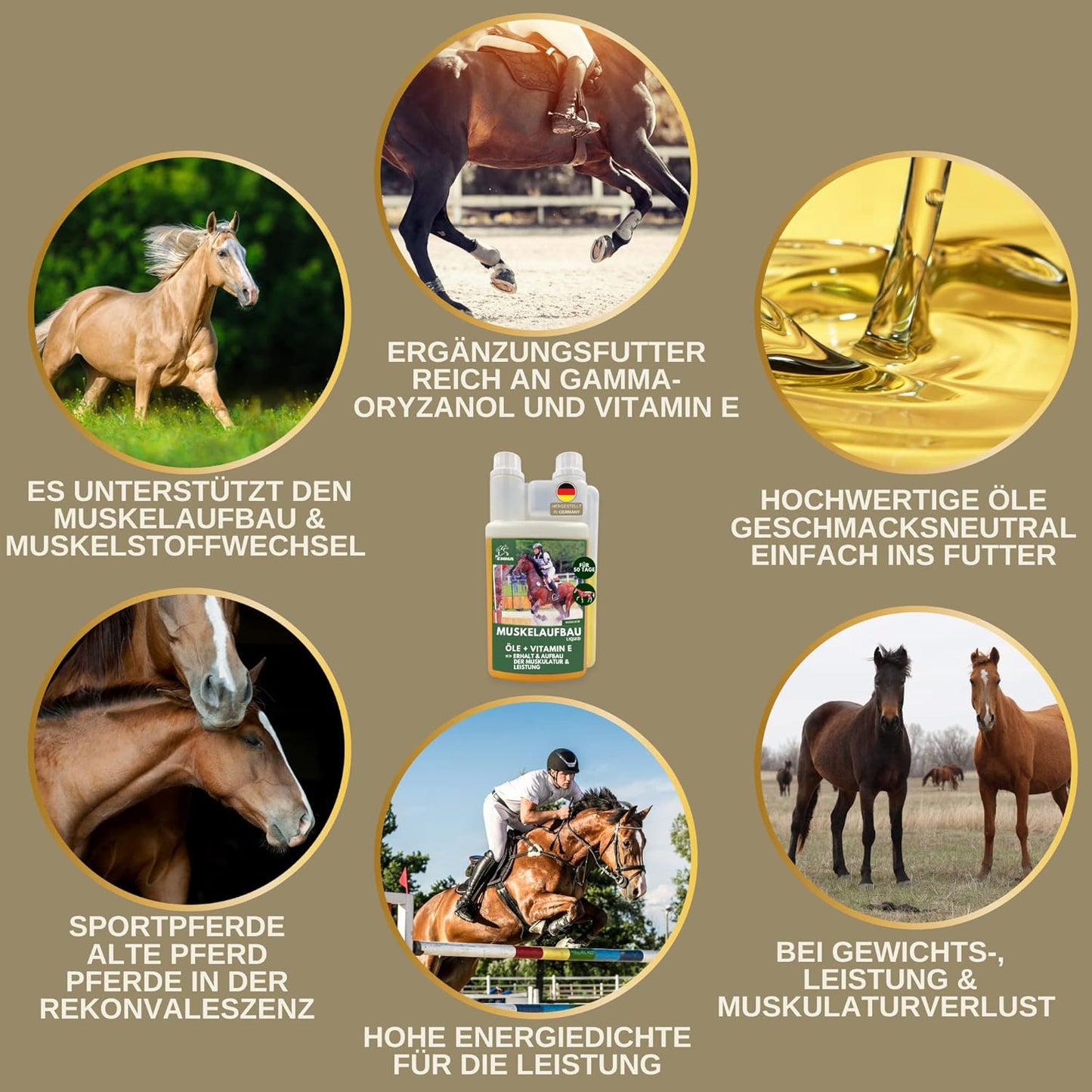 Ergänzungsfutter für den Muskelaufbau, SPARSET