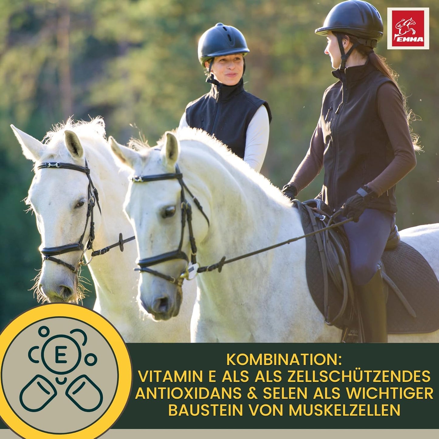 Power fürs Pferd, SPARSET,  Multivitamin plus Zink, Vitamin E + Vitamin Power BOOSTER