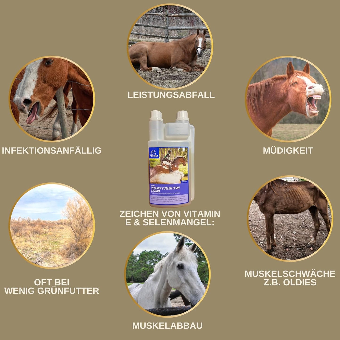 Power fürs Pferd, SPARSET,  Multivitamin plus Zink, Vitamin E + Vitamin Power BOOSTER