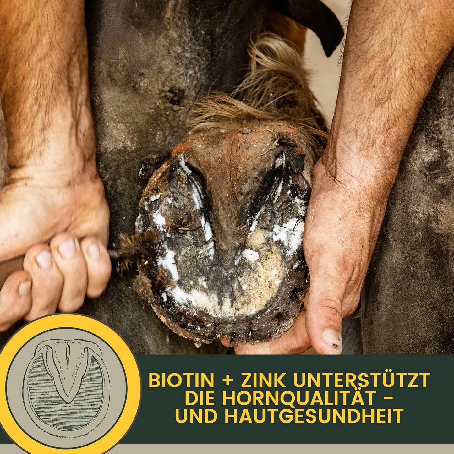 Haut, Fell & Huf vital, SPARSET, Mineralien & Vitamine Power