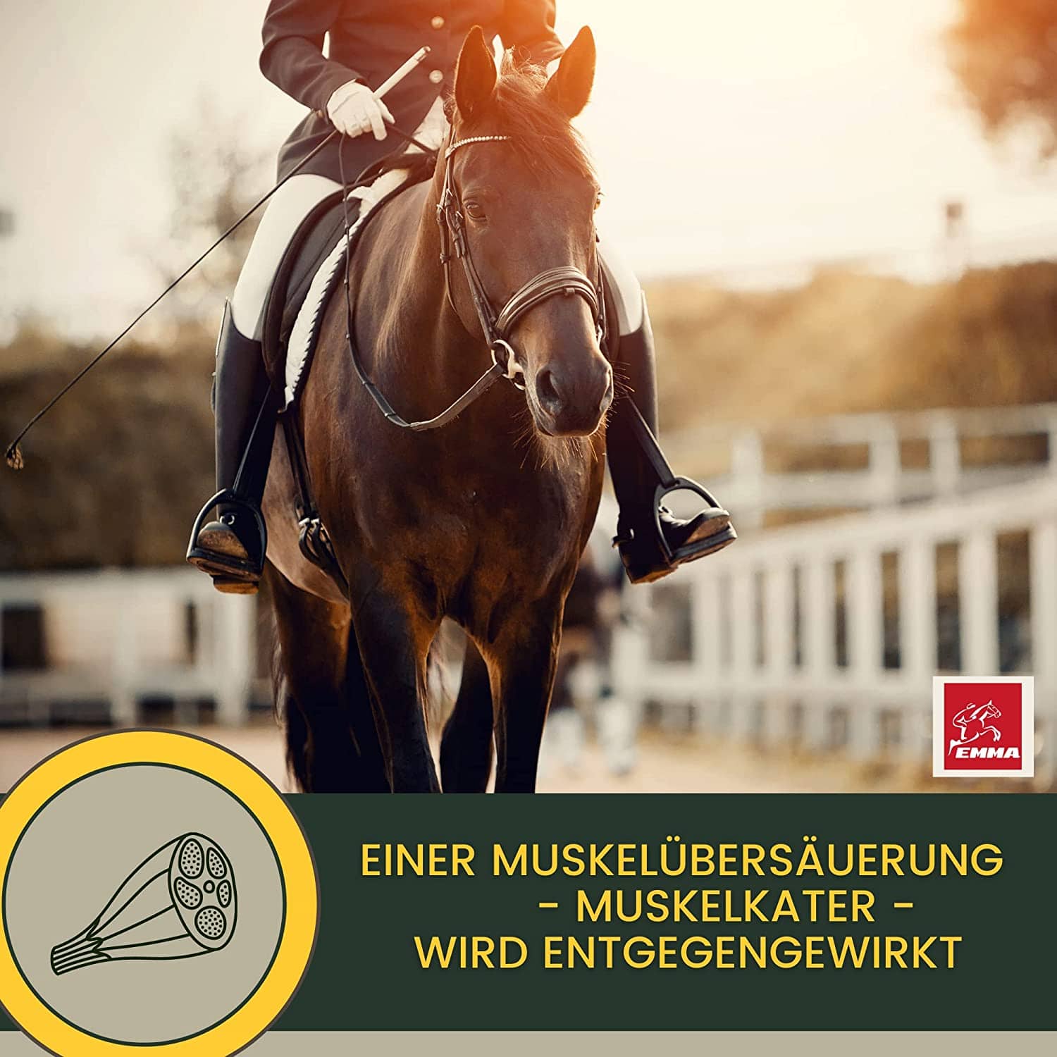 Aminosäuren & Vitamine für Pferde – Leistungs-Booster – Oralpaste – 2 Stk – EMMA – zur Pflege & täglichen Versorgung – EMMA Care
