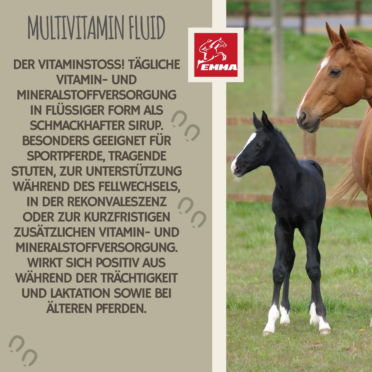 Aufbaufutter Multivitamin Eisen Zink Pferd 1L