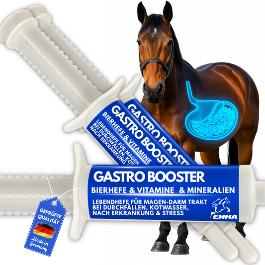 Magen Darm Booster für  Pferde - Probiotika -  Bierhefe - Magen-Darm-Trakt, Paste 3*30ml+