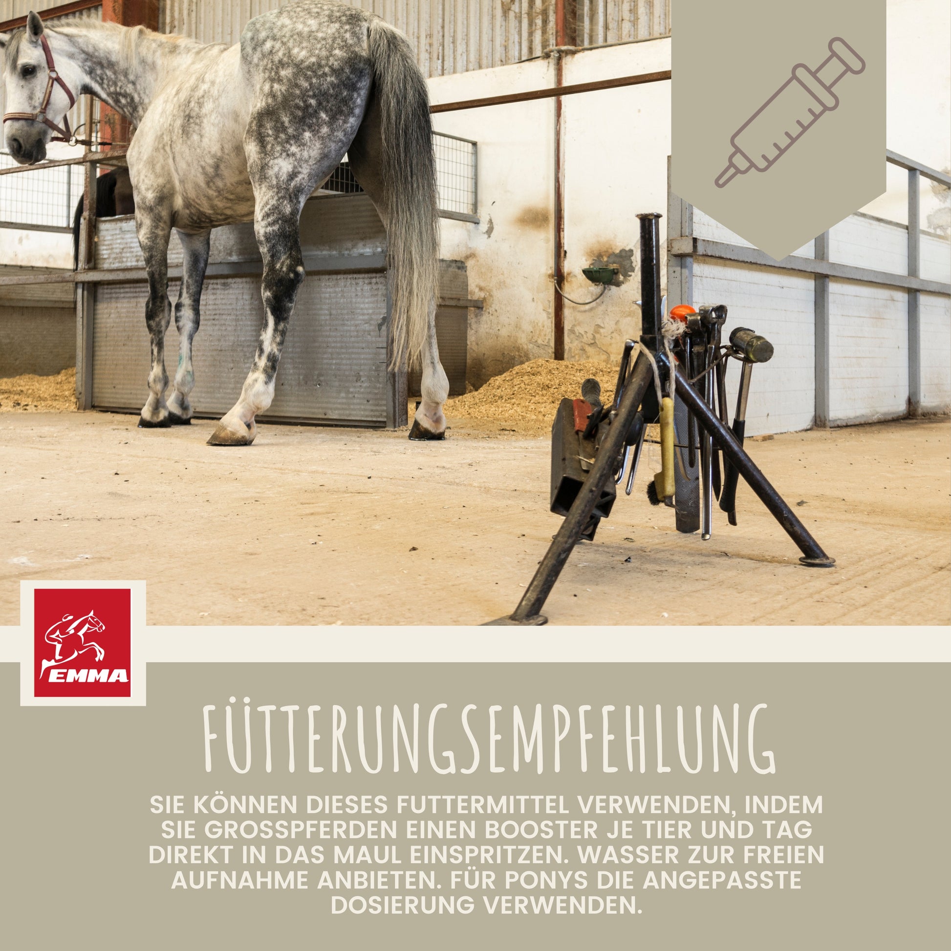 CALM Magnesium Paste Beruhigung Pferd 2ST