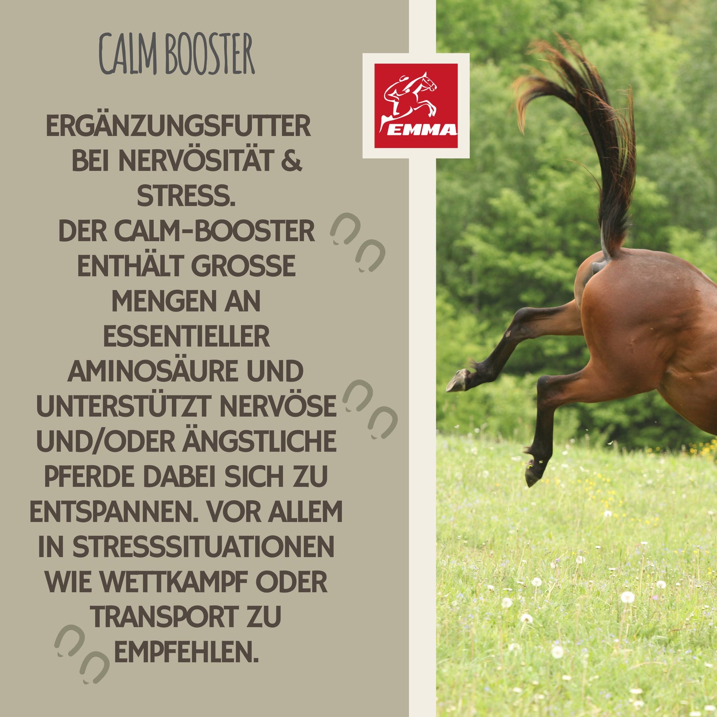 CALM Magnesium Paste Beruhigung Pferd 2ST