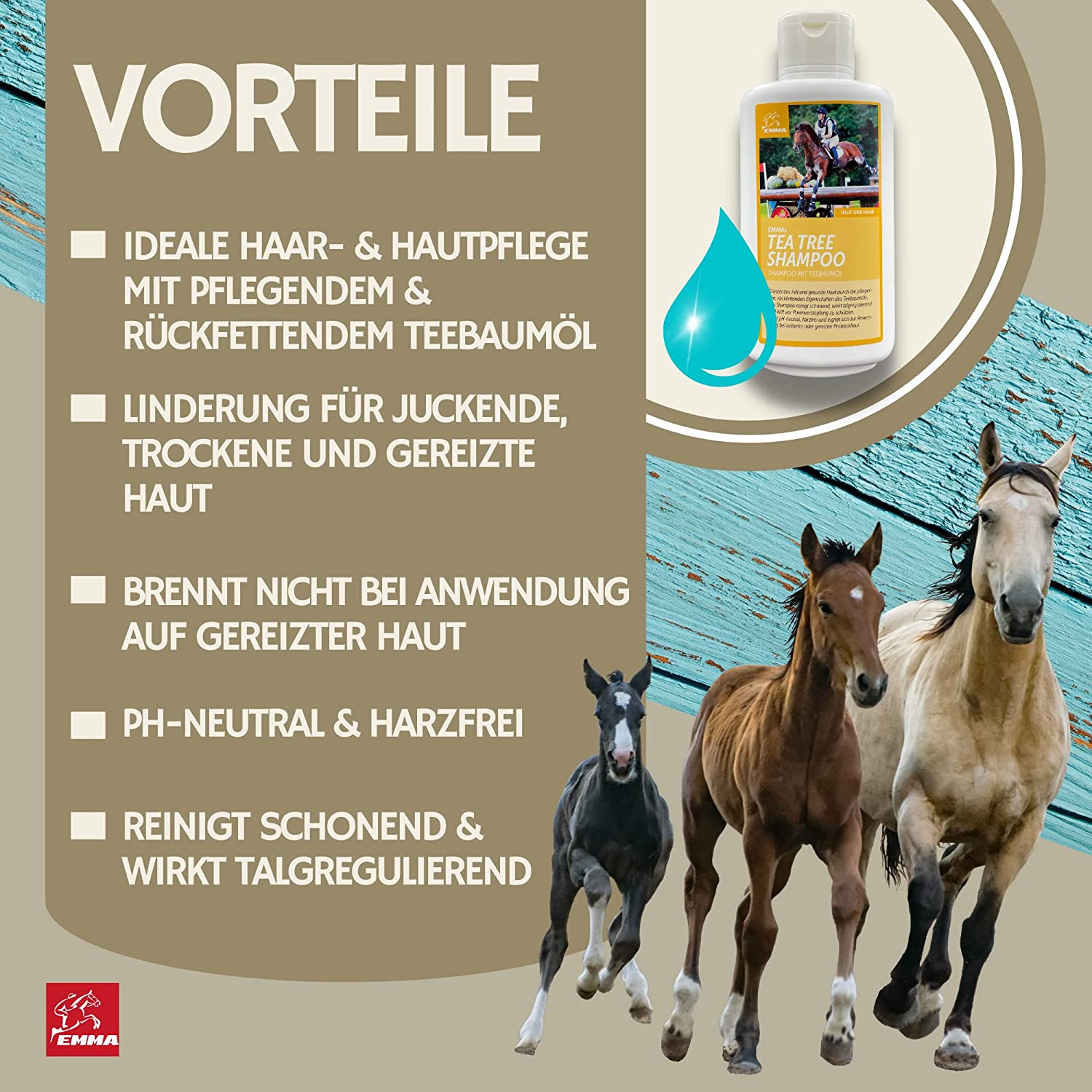 EMMA 23 Tea Tree Shampoo Pferdeshampoo mit Teebaumöl für Hunde Pferde 2,5l Kanister mildes Pferde Shampoo ph neutral I Pferdepflege Set glänzendes Fell Hundeshampoo für trockene & irritierte Haut Fellpflege4.jpg