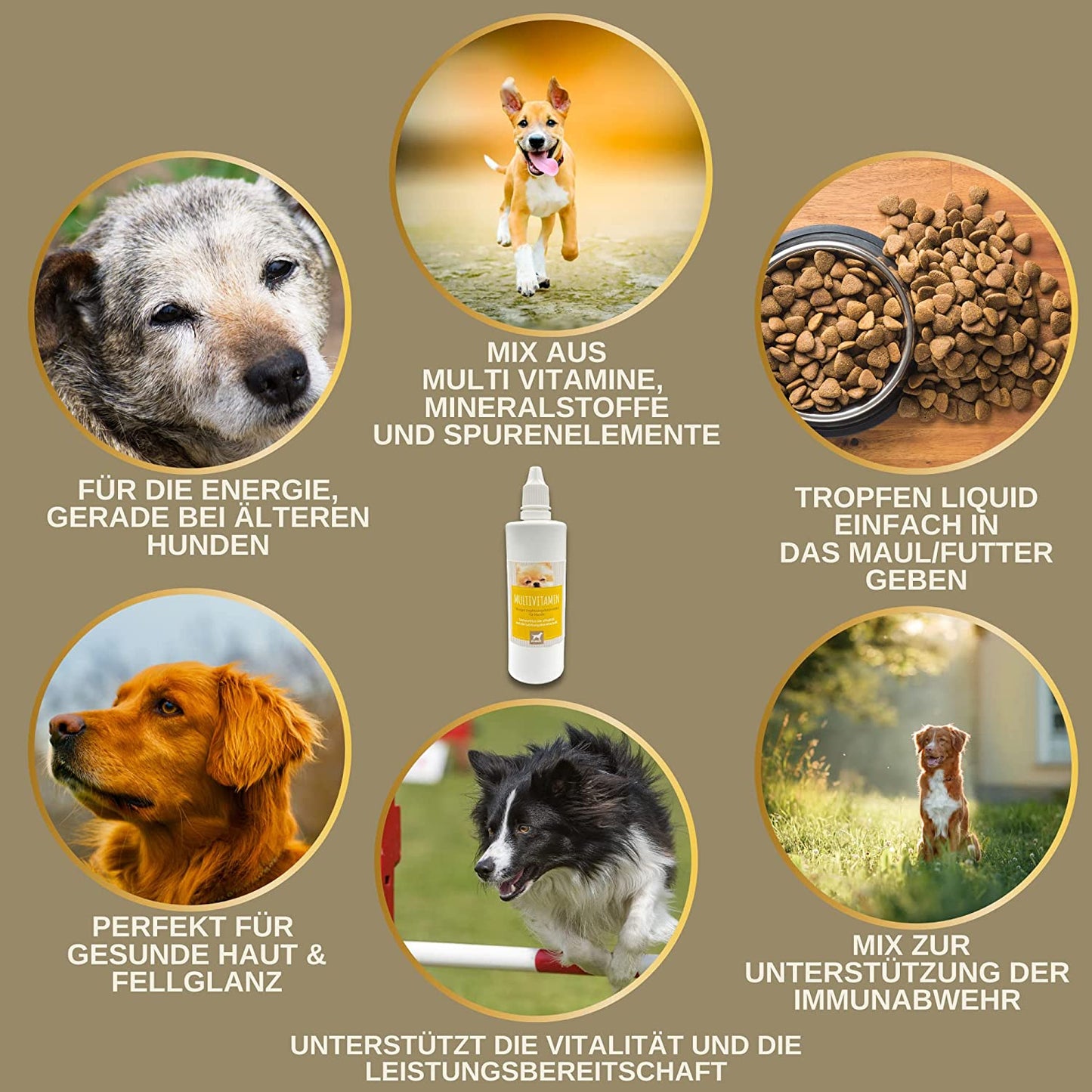 EMMA Multi Vitamin B Komplex Hund I Vitamine für Hunde 100ml I Vitamin B hochdosiert für Hunde mit B Vitamine Vitamin A B12 C E I Vitalität für Senioren Welpen Vitamin-Booster Immunsystem stärken Hund .png