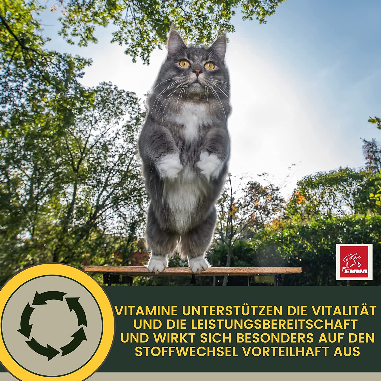 EMMA Katzen Vitamine 100ml I Multi Vitamin B komplex hochdosiert für Katzen I B Vitamine mit Vitamin A B12 D E I Folsäure Eisen Zink Selen  l Lysin Katze I Immunsystem stärken  Vitamine für Katzen.jpg