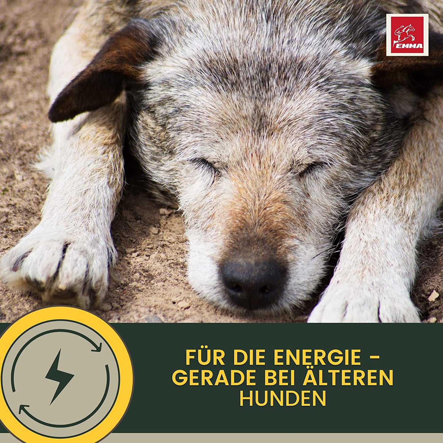 EMMA 1e Multi Vitamin B Komplex Hund I Vitamine für Hunde 100ml I Vitamin B hochdosiert für Hunde mit B Vitamine Vitamin A B12 C E I Vitalität für Senioren Welpen Vitamin-Booster Immunsystem stärken Hund5.jpg