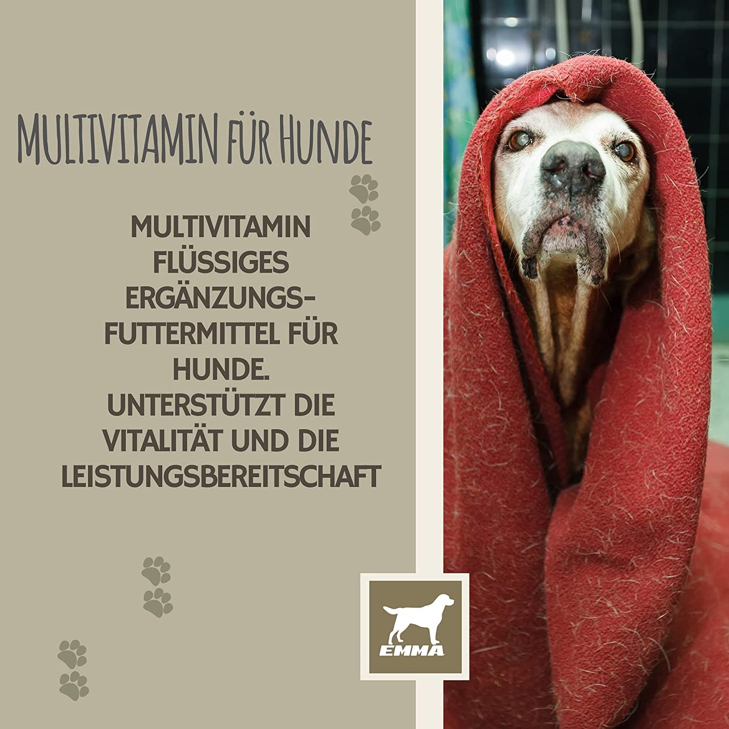 EMMA Multi Vitamin B Komplex Hund I Vitamine für Hunde 100ml I Vitamin B hochdosiert für Hunde mit B Vitamine Vitamin A B12 C E I Vitalität für Senioren Welpen Vitamin-Booster Immunsystem stärken Hund .png