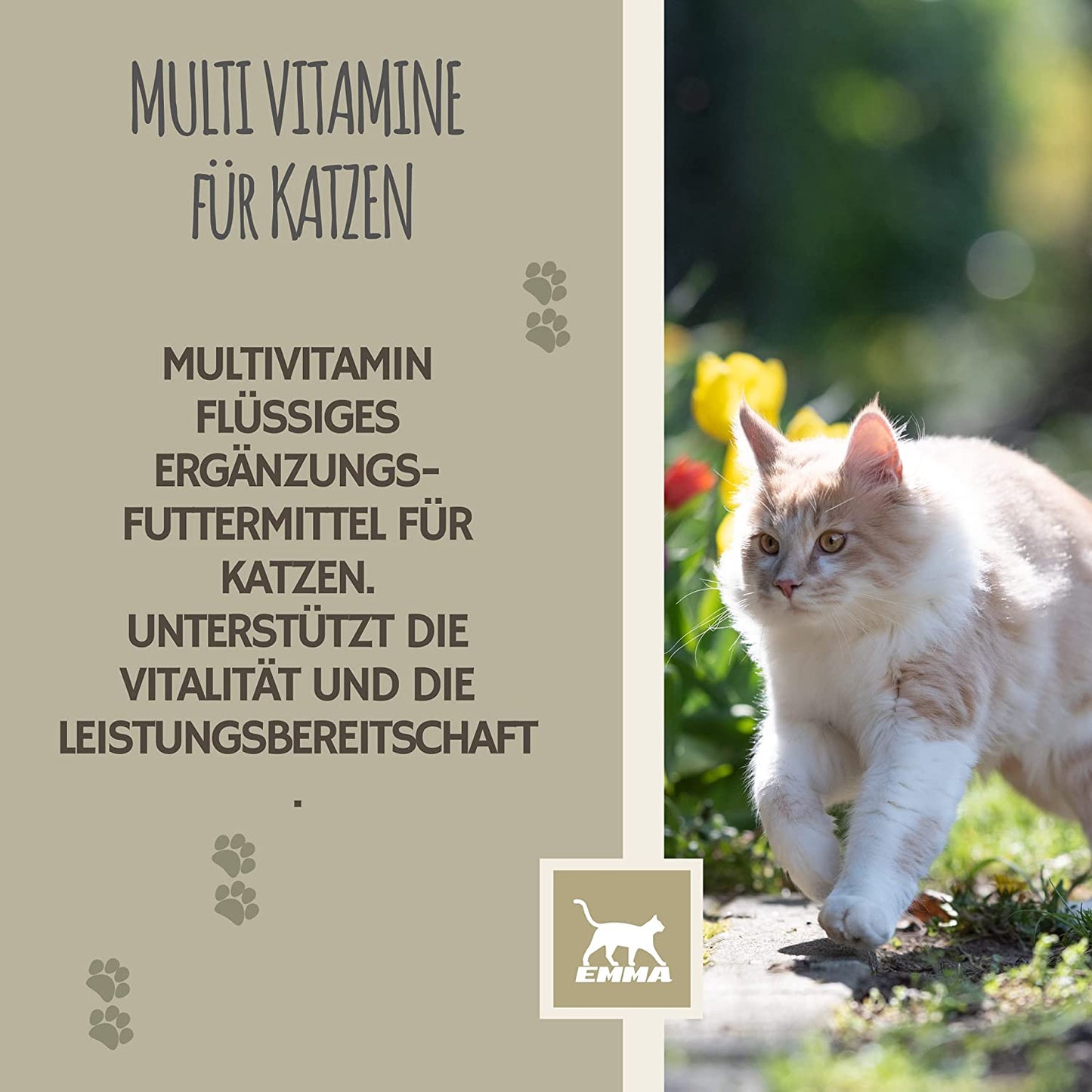EMMA Katzen Vitamine 100ml I Multi Vitamin B komplex hochdosiert für Katzen I B Vitamine mit Vitamin A B12 D E I Folsäure Eisen Zink Selen  l Lysin Katze I Immunsystem stärken  Vitamine für Katzen.jpg