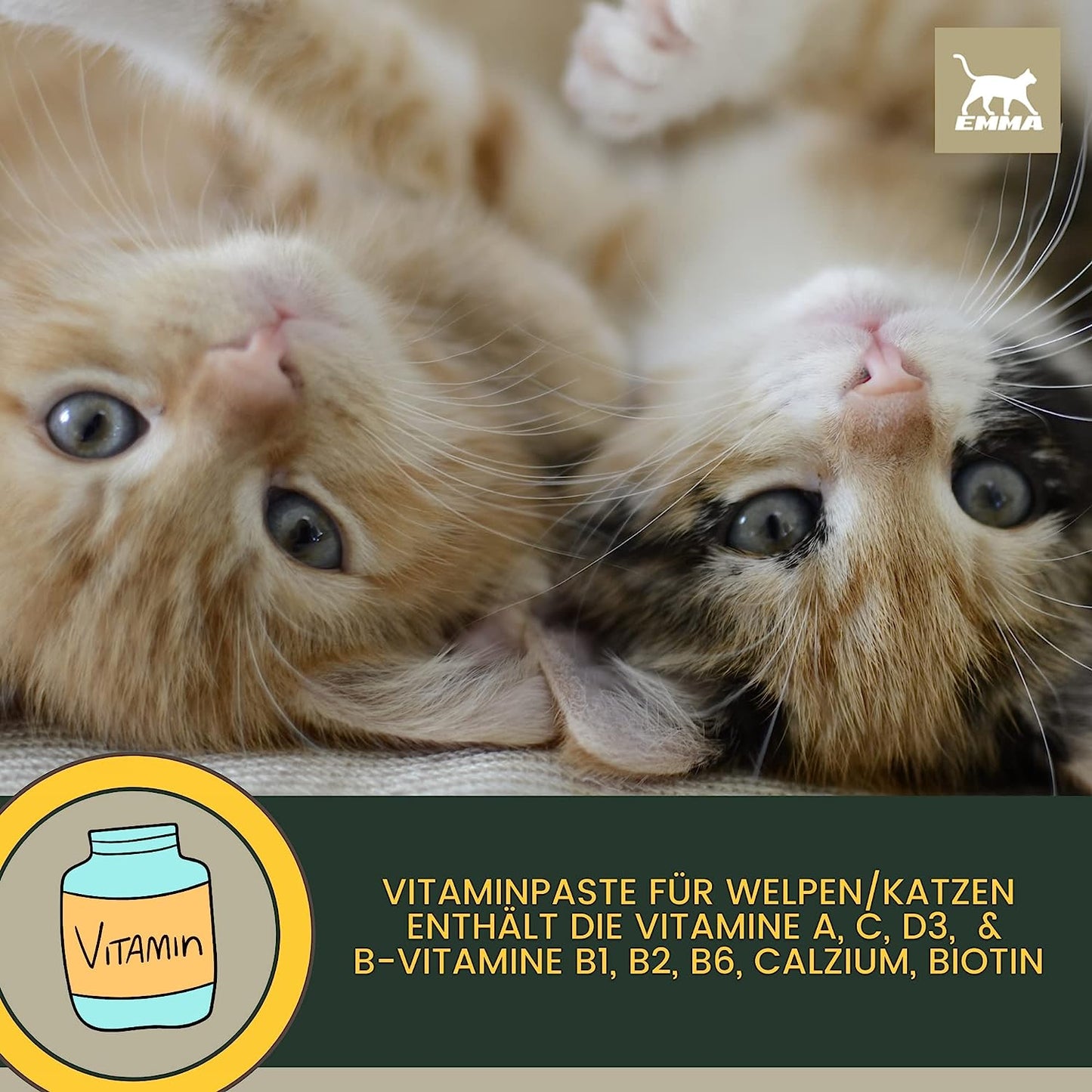 EMMA Katzen Vitamine - Vitaminpaste für Katzen 15ml I Vitamin B komplex hochdosiert für Katzen I B Vitamine mit Vitamin A D C I Multi-Vitamin Paste Senioren - Kitten Paste Immunsystem stärken Katze .png