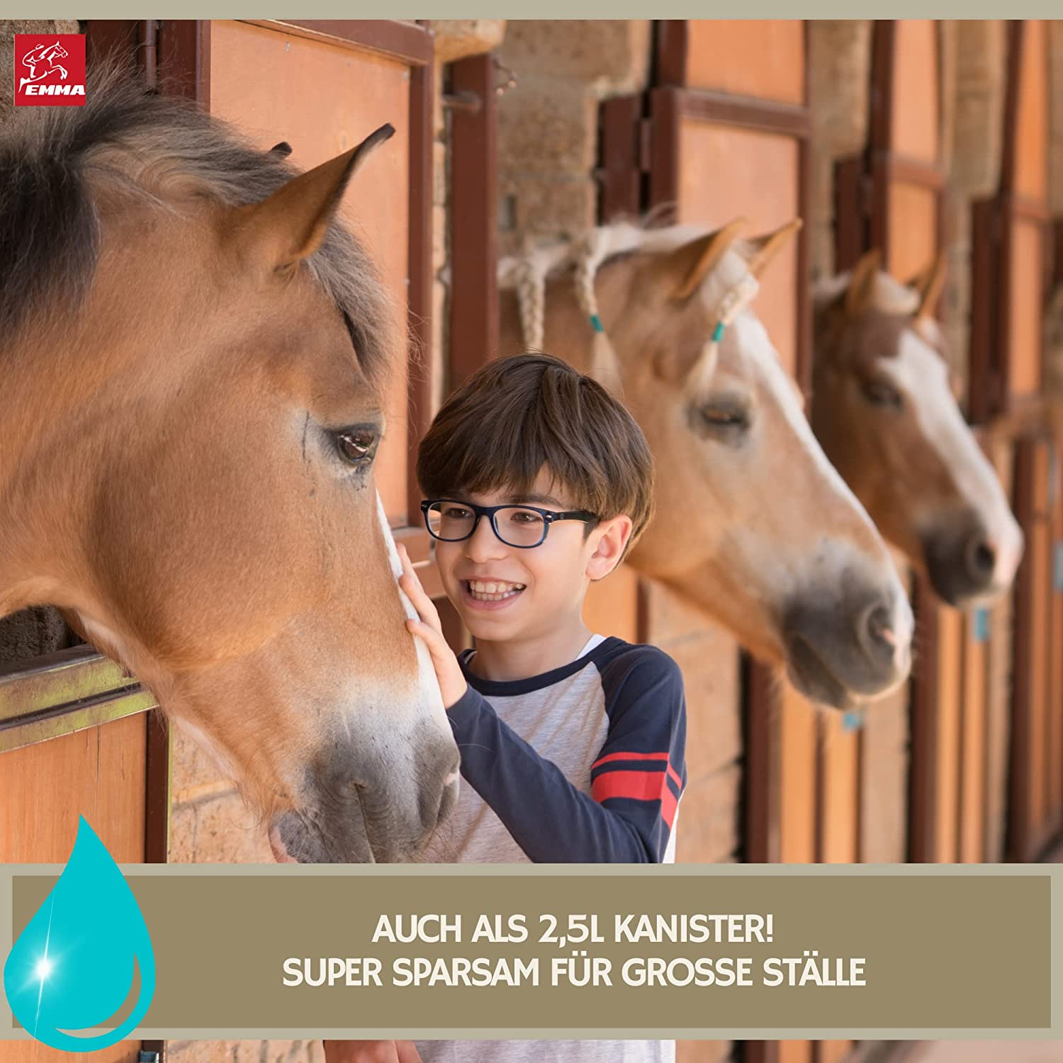 EMMA 23 Tea Tree Shampoo Pferdeshampoo mit Teebaumöl für Hunde Pferde 2,5l Kanister mildes Pferde Shampoo ph neutral I Pferdepflege Set glänzendes Fell Hundeshampoo für trockene & irritierte Haut Fellpflege4.jpg