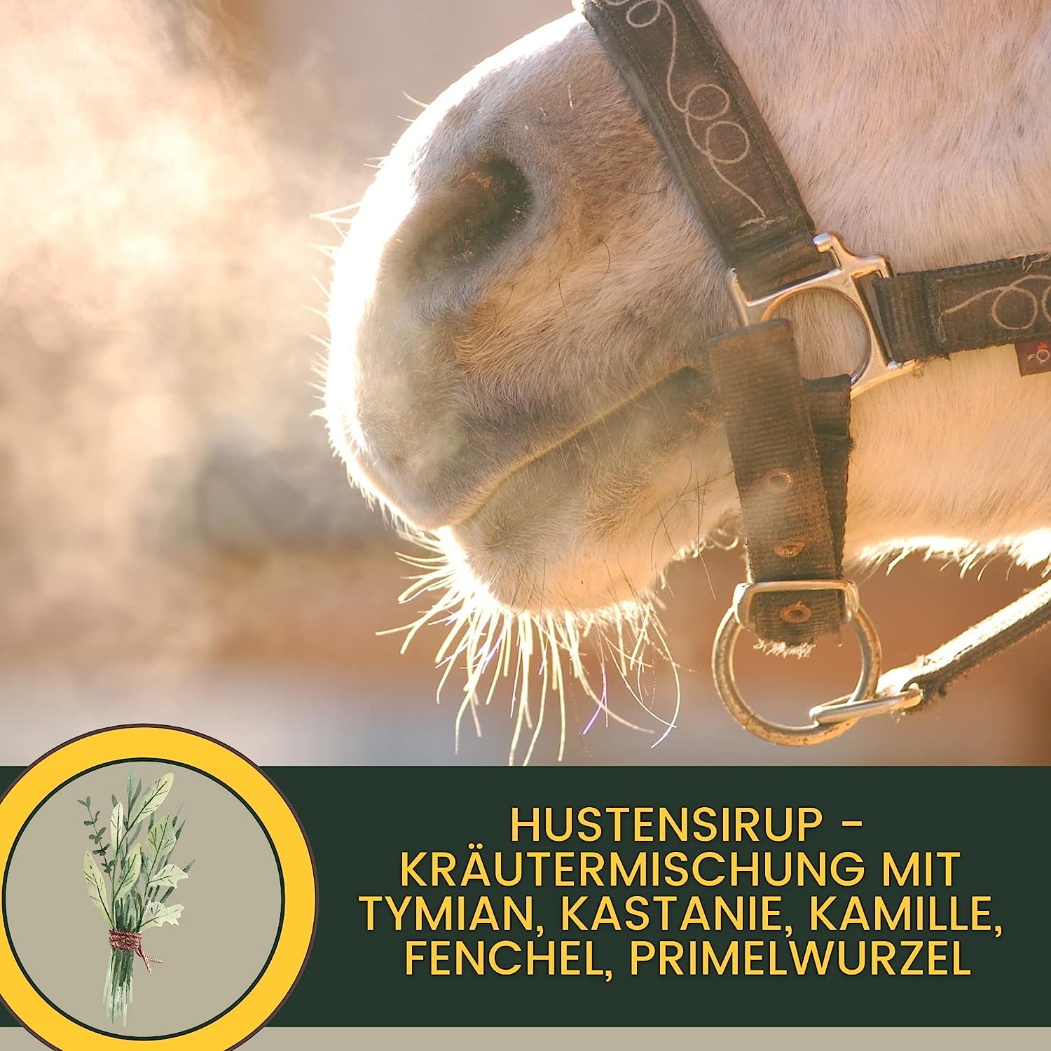 EMMA Breath Sirup Hustensaft Pferd - Sirup Bronchialkräuter Pferd Thymian Fenchel Schleimlöser Pferd I Atemwegskräuter Pferd Husten I bei Husten Pferd freie Atemwege I Atemkräuter I Hustenkräuter Pferd Husten 