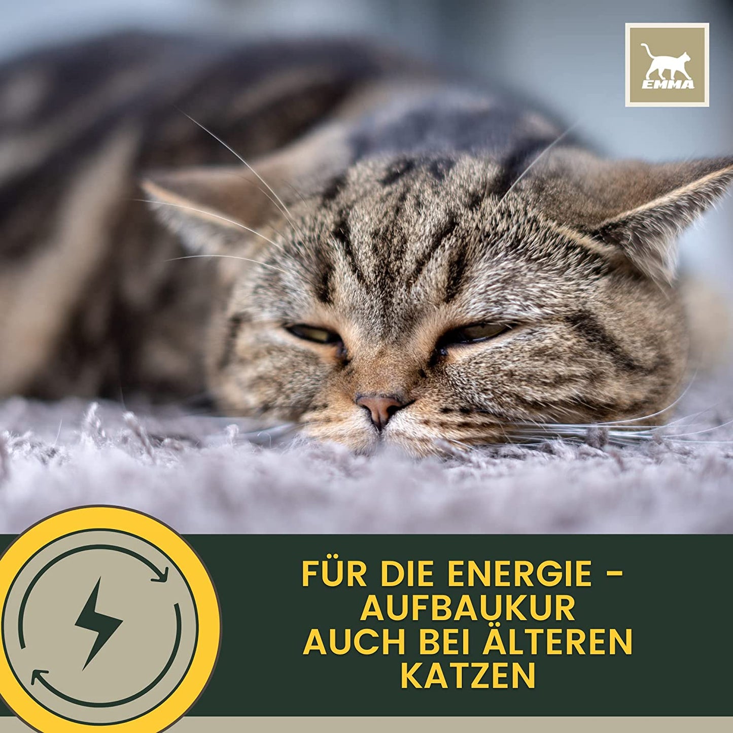 EMMA Katzen Vitamine - Vitaminpaste für Katzen 15ml I Vitamin B komplex hochdosiert für Katzen I B Vitamine mit Vitamin A D C I Multi-Vitamin Paste Senioren - Kitten Paste Immunsystem stärken Katze .png