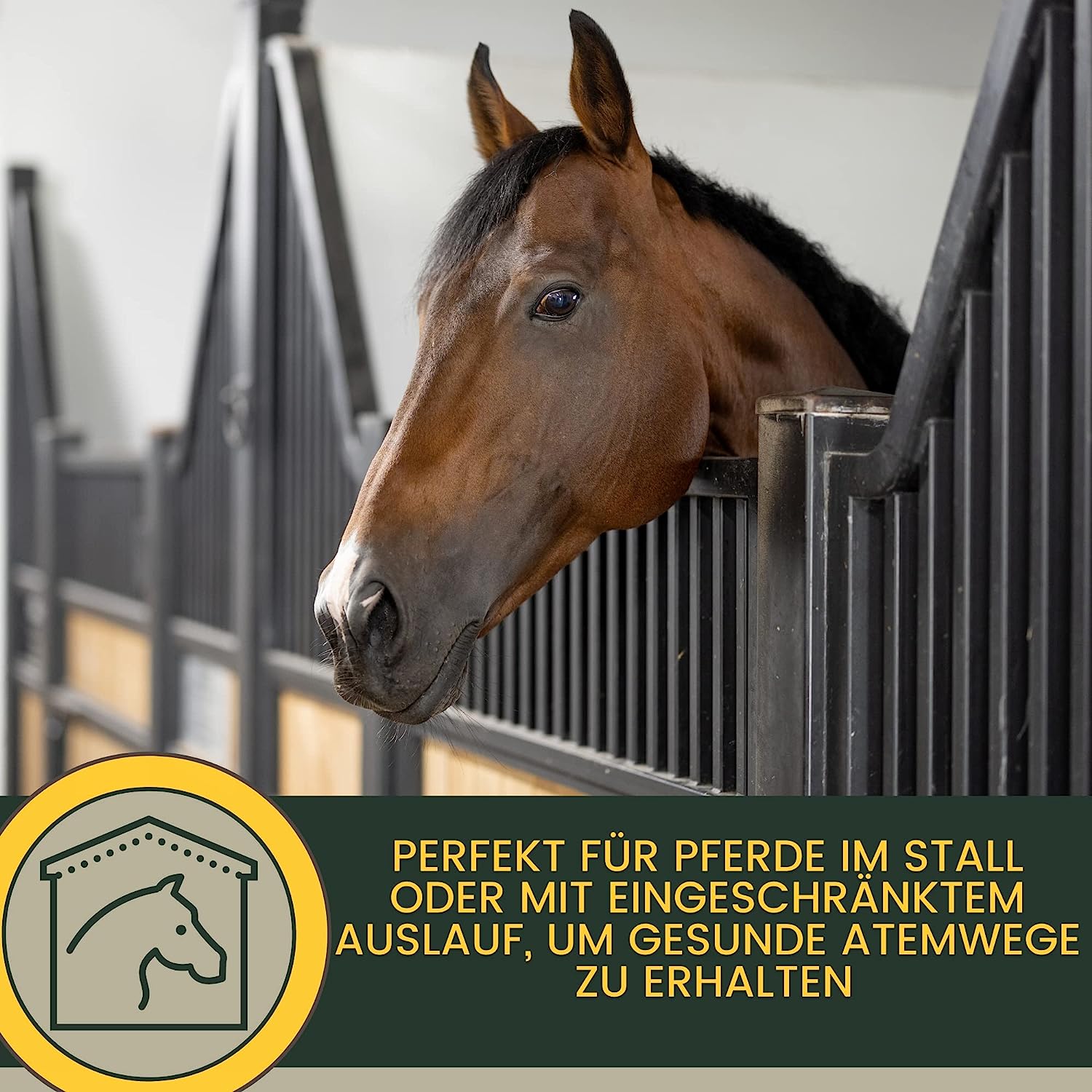 EMMA Breath Sirup Hustensaft Pferd - Sirup Bronchialkräuter Pferd Thymian Fenchel Schleimlöser Pferd I Atemwegskräuter Pferd Husten I bei Husten Pferd freie Atemwege I Atemkräuter I Hustenkräuter Pferd Husten 