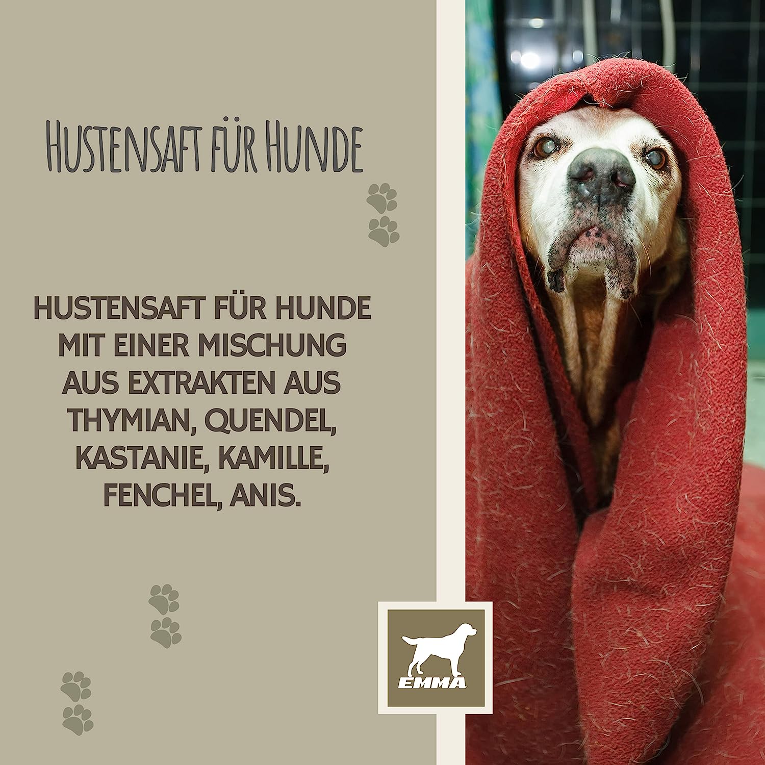 EMMA bronchiobol  Hustensaft für Hunde I Thymian Bronchial Kräuter I Tropfen + Anis Fenchel I Hustenmittel Beruhigung Atemwege bei Husten & Erkältung Hund I Schleimlöser für Bronchien Hund I Kräutermischung Hund 100ml4
