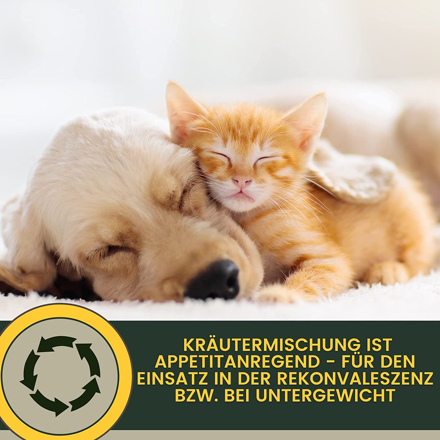  EMMA bronchiobol  Hustensaft für Hunde I Thymian Bronchial Kräuter I Tropfen + Anis Fenchel I Hustenmittel Beruhigung Atemwege bei Husten & Erkältung Hund I Schleimlöser für Bronchien Hund I Kräutermischung Hund 100ml4
