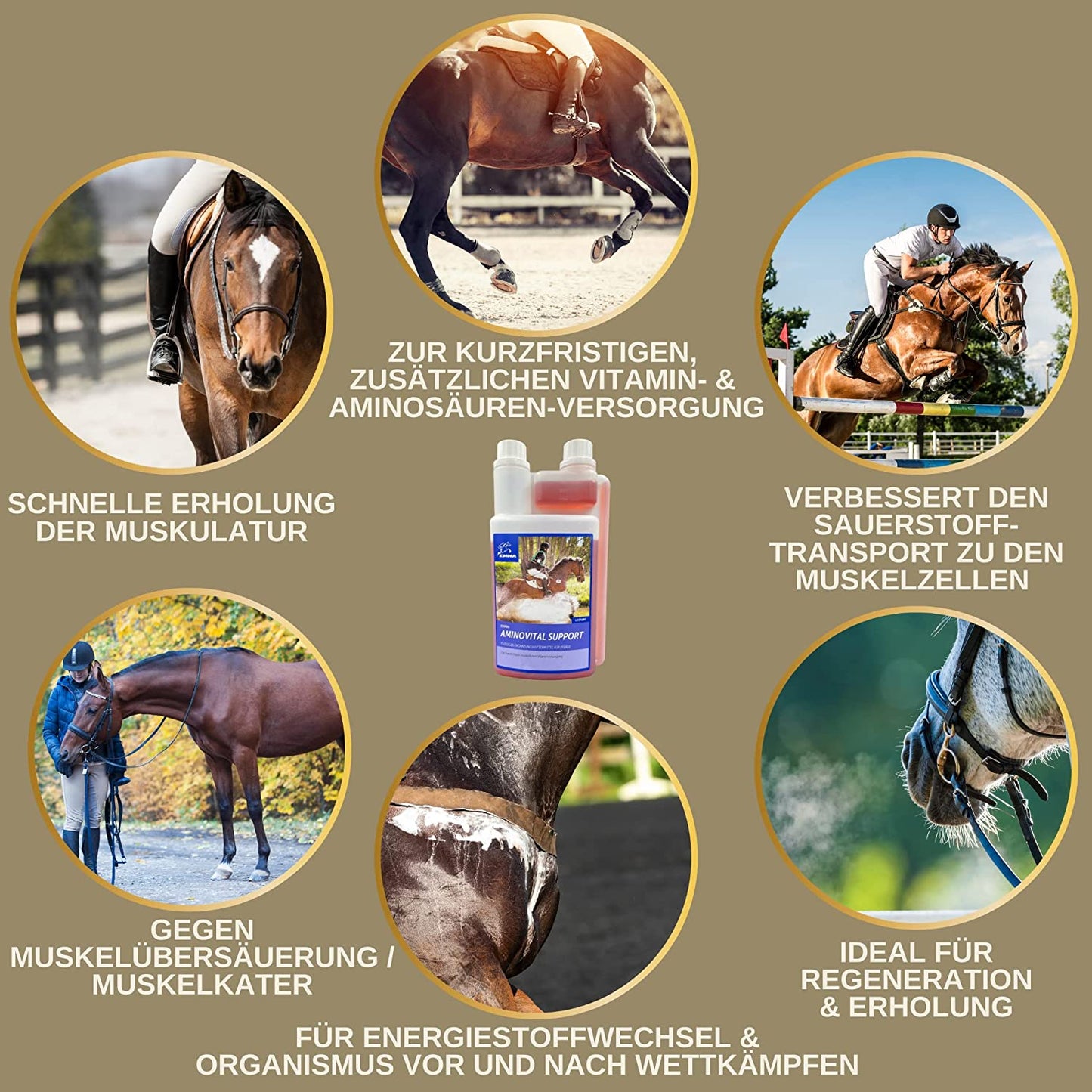 EMMA Aminovital support 32 Liquid I Aminosäuren Vitamin B komplex I Zusatzfutter Vitamin B12 I Zink Pferd I Muskelaufbau Pferd Stärkung Muskulatur I Regeneration Muskeln aufbauen ​alternativ zu Pulver für Pferde 1L .png
