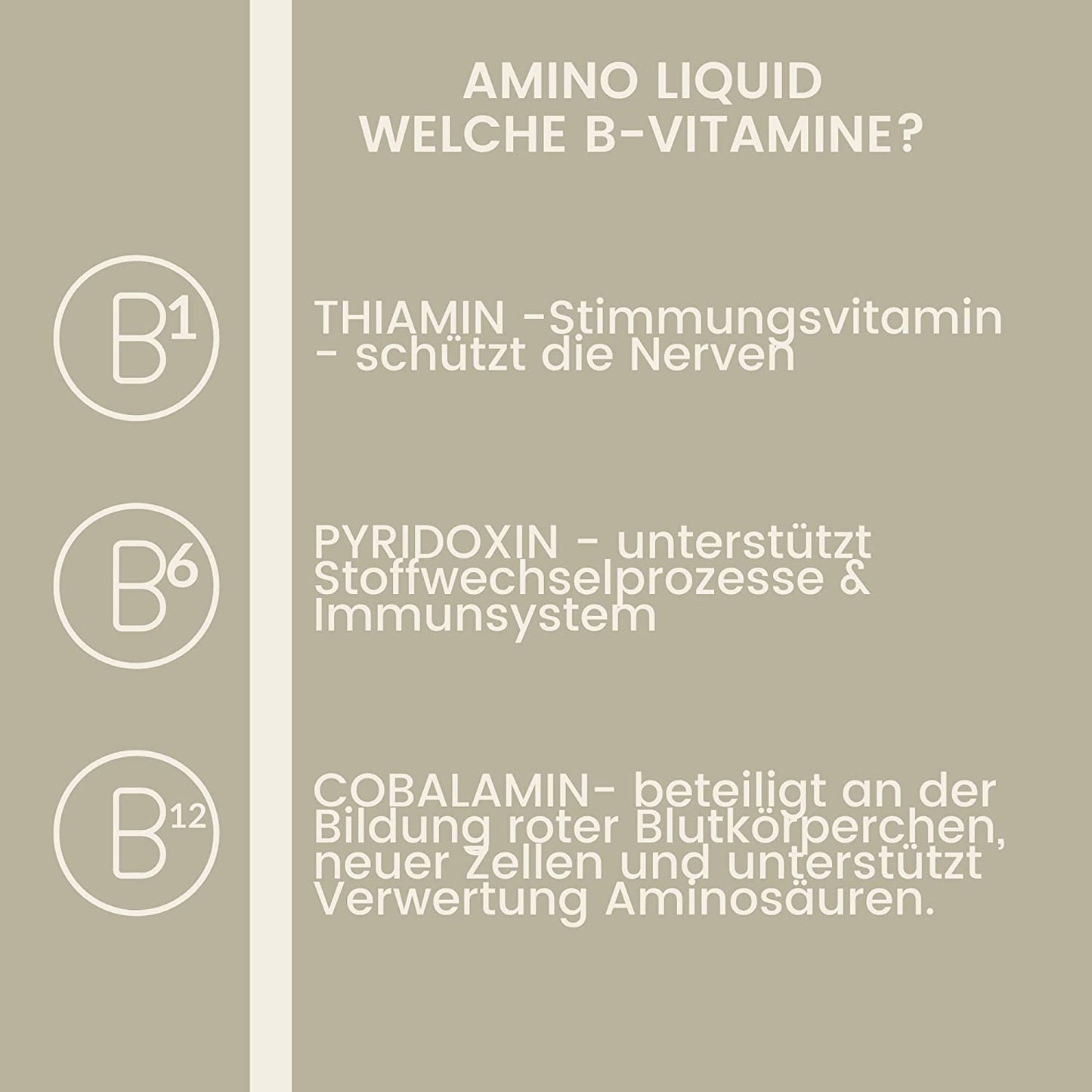 EMMA Aminovital support 32 Liquid I Aminosäuren Vitamin B komplex I Zusatzfutter Vitamin B12 I Zink Pferd I Muskelaufbau Pferd Stärkung Muskulatur I Regeneration Muskeln aufbauen ​alternativ zu Pulver für Pferde 1L .png