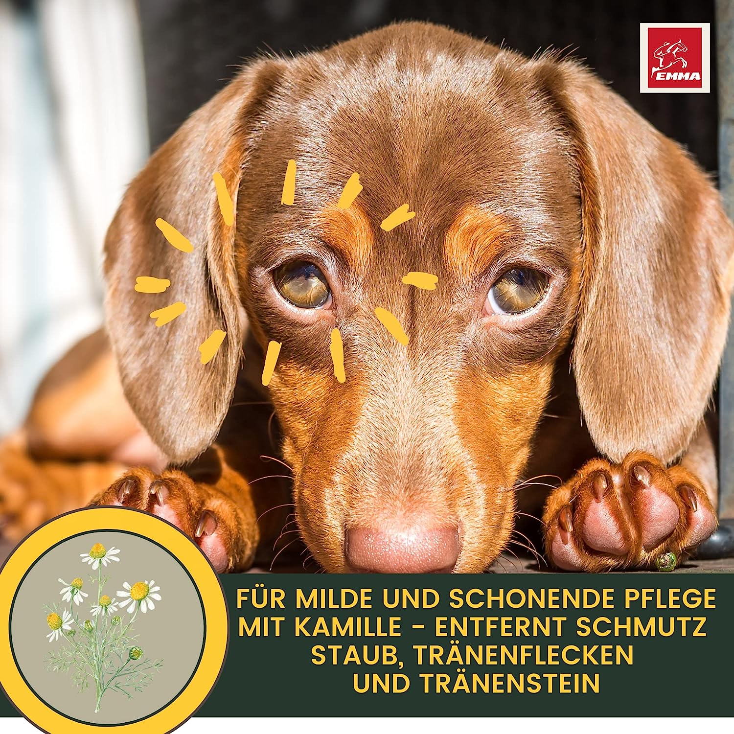 Augentropfen Hund - Augenpflege Hunde - Augenreiniger - Tränenfleckentferner Hund Staub Schmutz - Augen Reinigung & Pflege Tränenflecken - Alternativ Augensalbe Hunde Pflege beugt Entzündung vor 100ml5.jpg