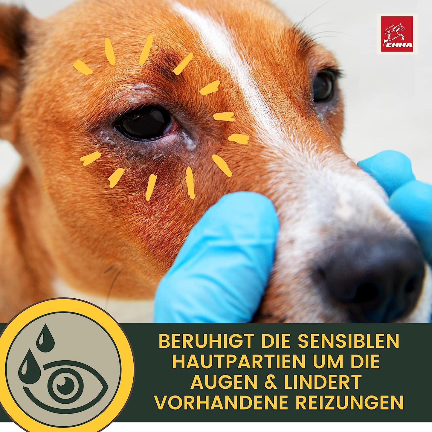 EMMA Auge 30 Hund Ohrenreiniger  Augentropfen Hund - Ohrentropfen Hund - Erste Hilfe Set Hund • Hundepflege gegen Juckreiz  Schmutz • Ohrenpflege Ohrreiniger Tränenfleckentferner Kamille 