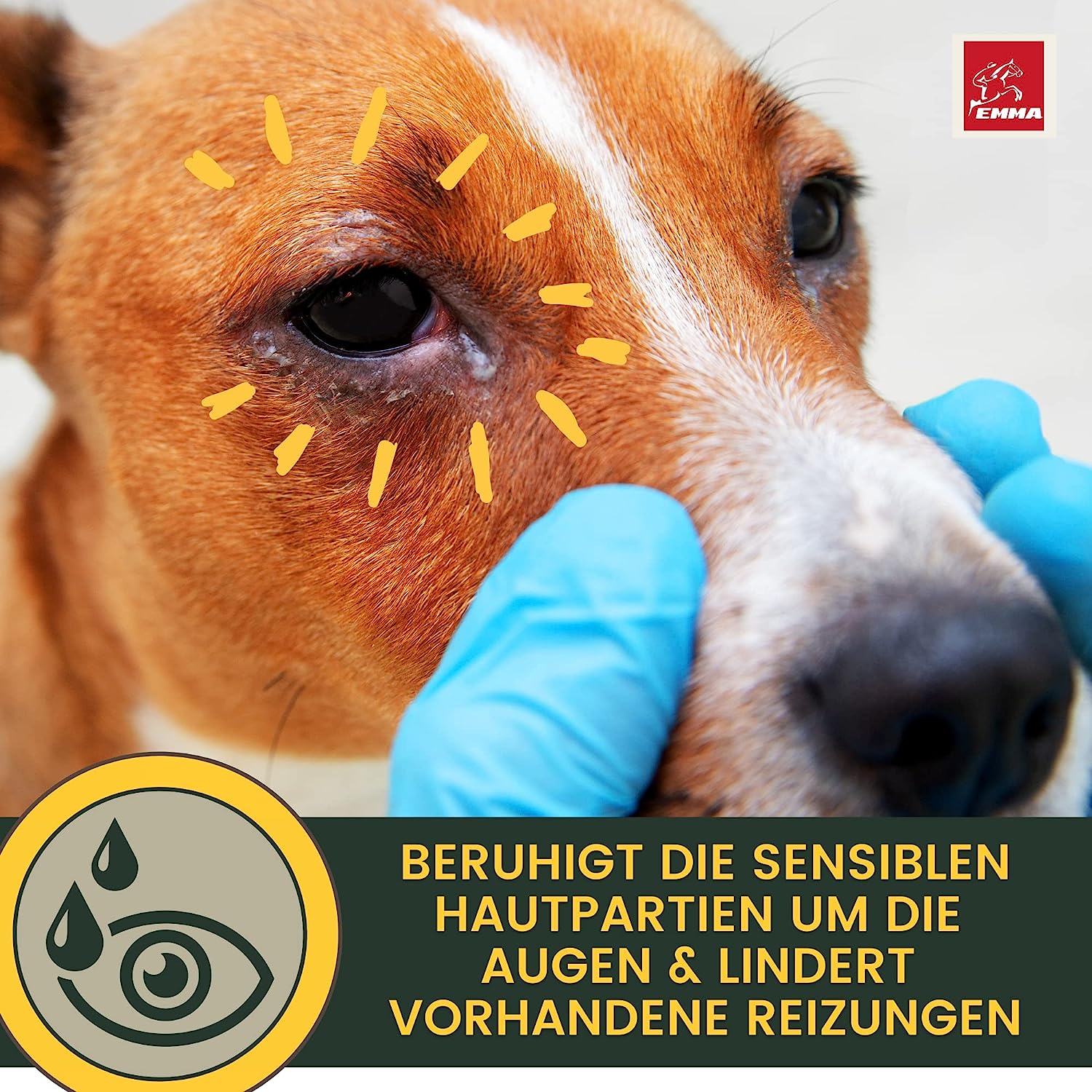 EMMA Auge 30 Hund Ohrenreiniger  Augentropfen Hund - Ohrentropfen Hund - Erste Hilfe Set Hund • Hundepflege gegen Juckreiz  Schmutz • Ohrenpflege Ohrreiniger Tränenfleckentferner Kamille 