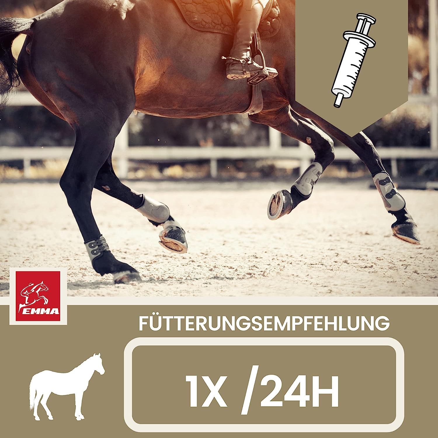 Elektrolyte Pferd - Vitamin Paste für Pferde I Vitamin b komplex Pferd I Elektrolyte für Pferde Natrium Kalium Magnesium Pferd I Mineralfutter Pferde nach Durchfall Kotwasser Pferd Mineralsalze.jpg