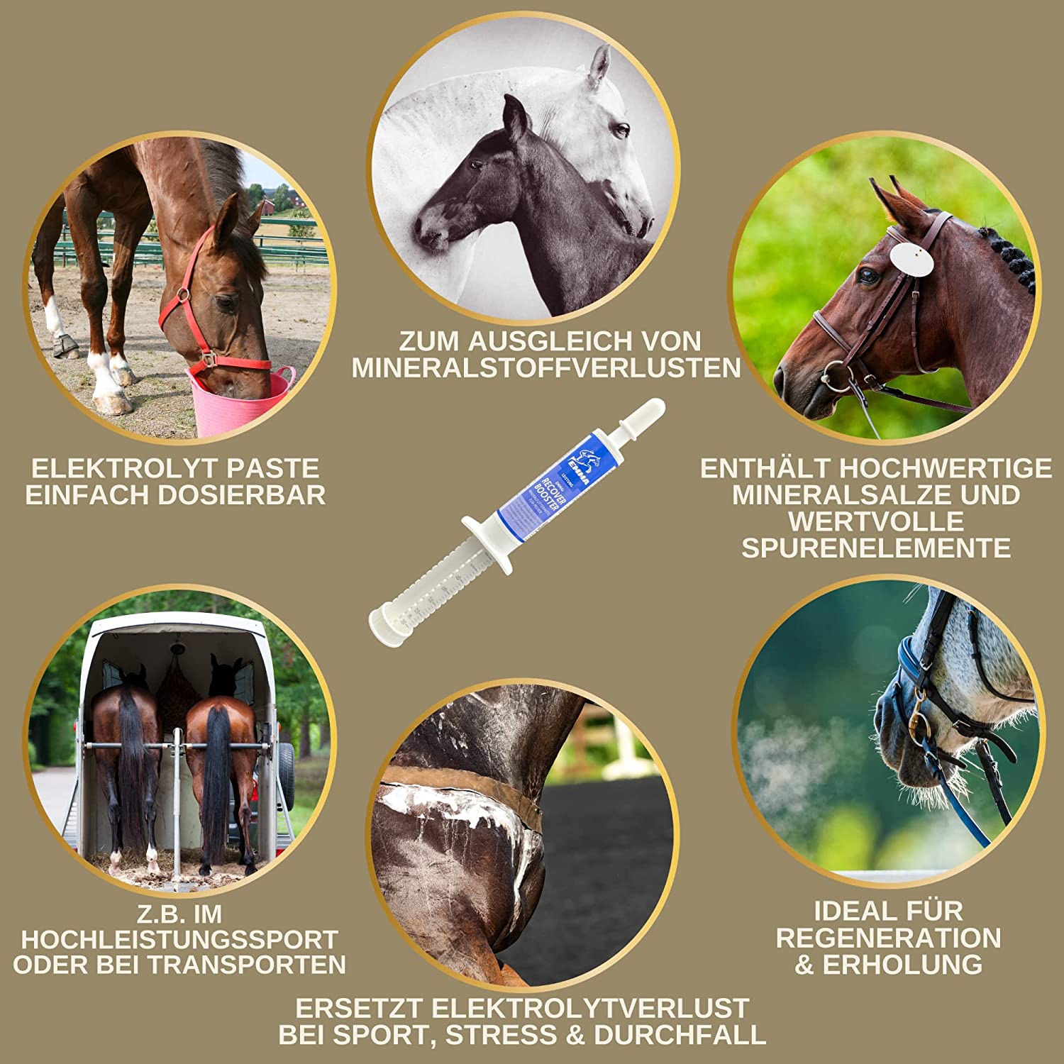 Elektrolyte Pferd - Vitamin Paste für Pferde I Vitamin b komplex Pferd I Elektrolyte für Pferde Natrium Kalium Magnesium Pferd I Mineralfutter Pferde nach Durchfall Kotwasser Pferd Mineralsalze.jpg