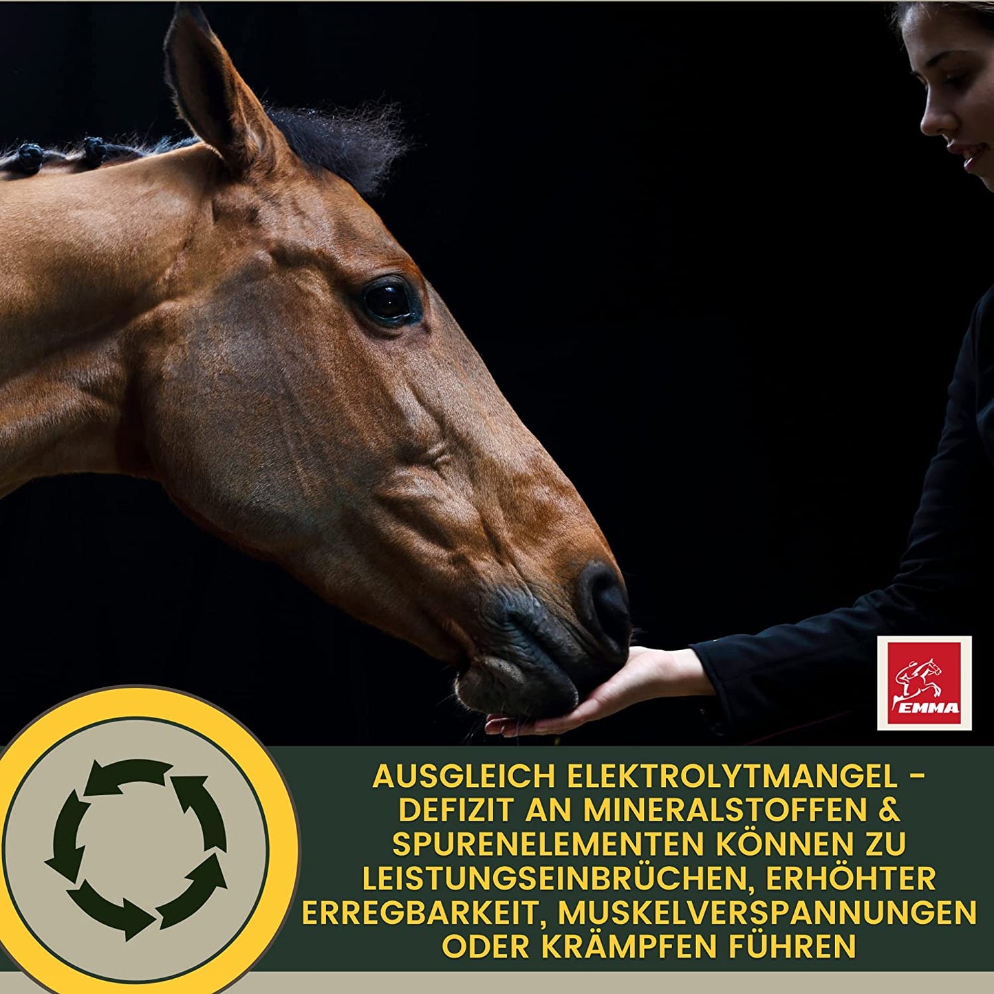 Elektrolyte Pferd - Vitamin Paste für Pferde I Vitamin b komplex Pferd I Elektrolyte für Pferde Natrium Kalium Magnesium Pferd I Mineralfutter Pferde nach Durchfall Kotwasser Pferd Mineralsalze.jpg