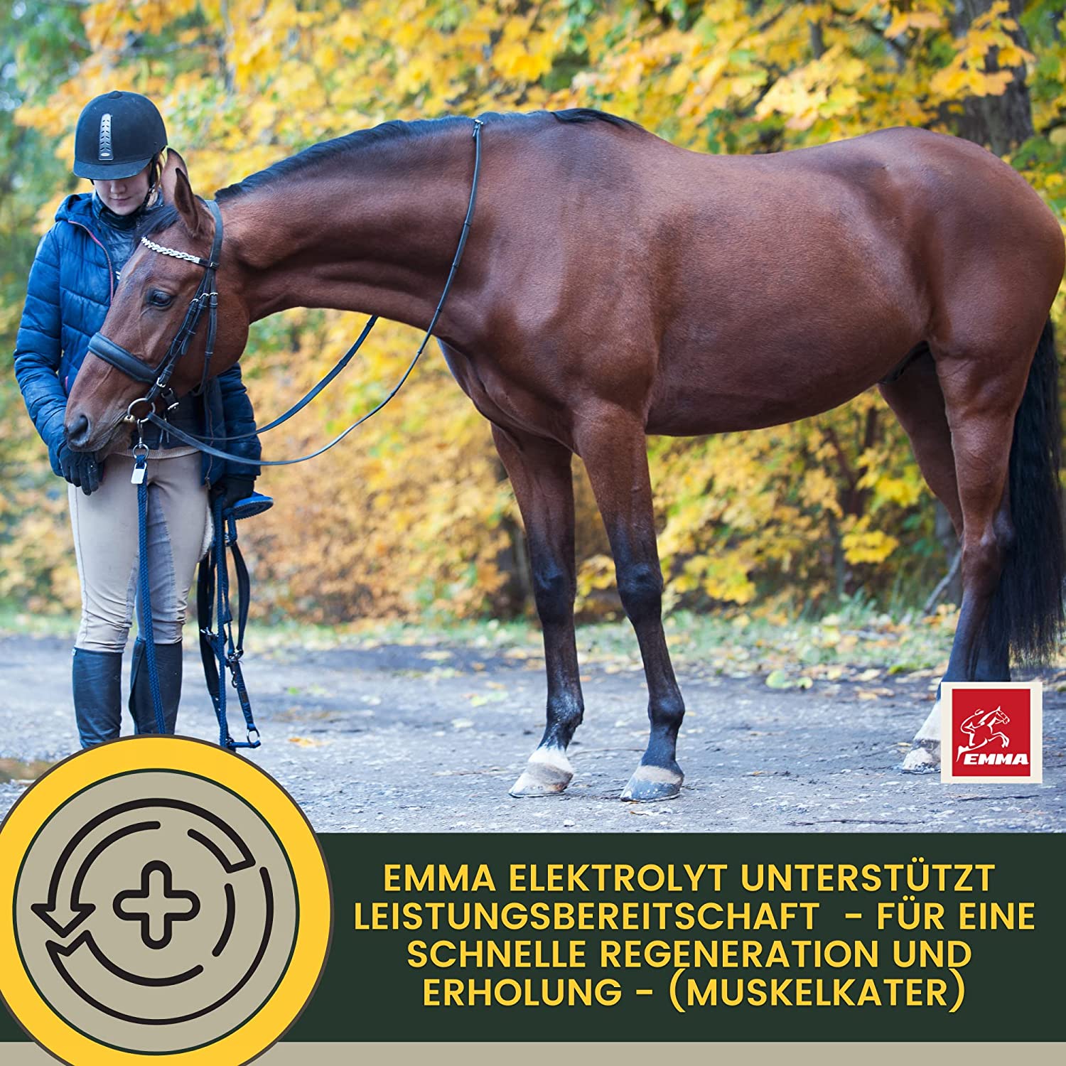 Elektrolyte Pferd - Vitamin Paste für Pferde I Vitamin b komplex Pferd I Elektrolyte für Pferde Natrium Kalium Magnesium Pferd I Mineralfutter Pferde nach Durchfall Kotwasser Pferd Mineralsalze.jpg