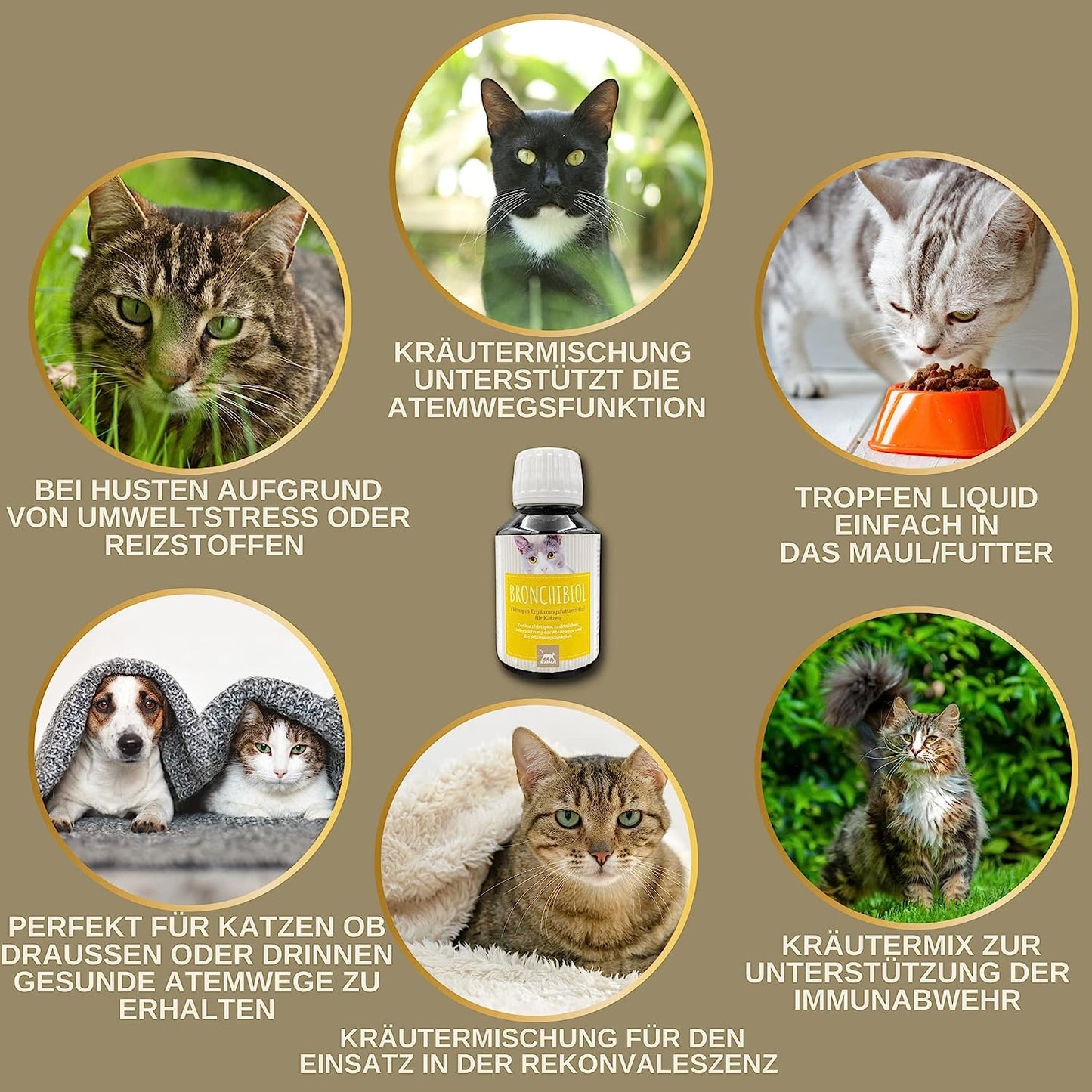 EMMA Bronchiobol  Hustensaft Katze I Thymian Bronchial Kräuter I Tropfen Anis Fenchel I Atemwegskräuter I Mittel Beruhigung Atemwege Husten I Schleimlöser I Hustenkräuter I Kräutermischung Katze 100ml6