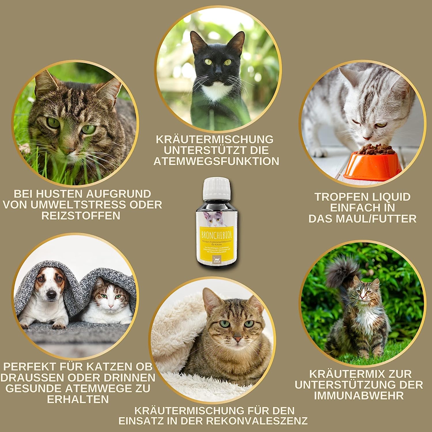 EMMA Bronchiobol  Hustensaft Katze I Thymian Bronchial Kräuter I Tropfen Anis Fenchel I Atemwegskräuter I Mittel Beruhigung Atemwege Husten I Schleimlöser I Hustenkräuter I Kräutermischung Katze 100ml6