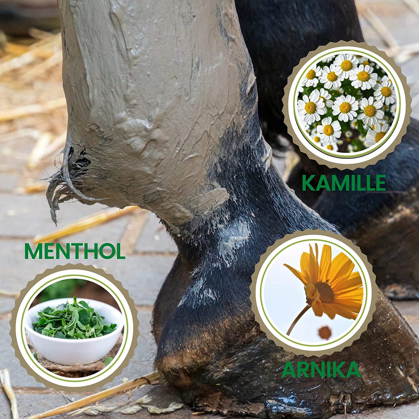 EMMA COOL CLAY 1b essigsaure Tonerde Pferde ⇒ Tonerde Pferd 1,5 Kg I Pferdebalsam kühlend I Tonerde Paste Mineralerde - Arnika Salbe Heilerde Paste kühlend I Kühlgel I Tonerde Gel Sehnen Bänder Gelenke Pferd.