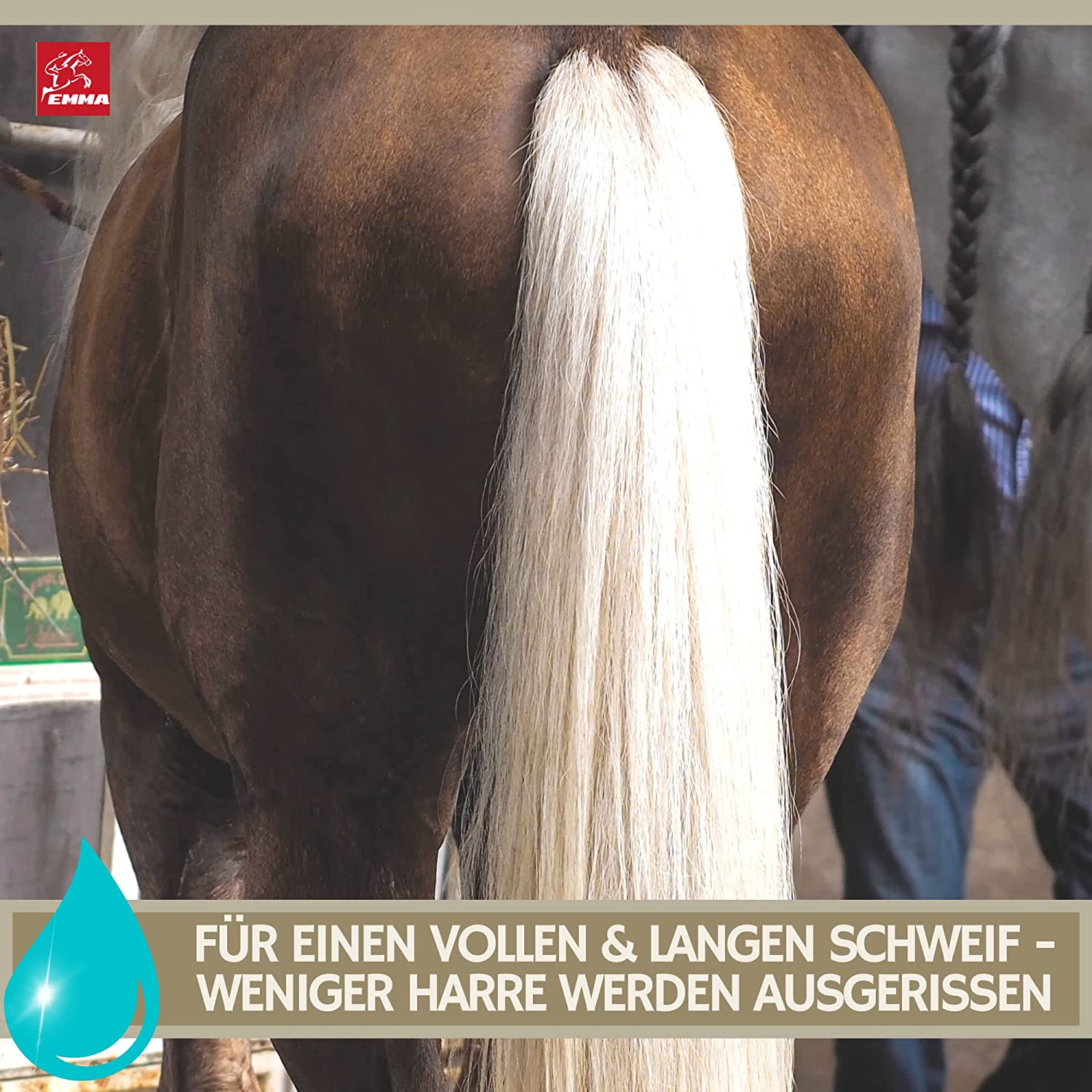 EMMA Easy 1 mähnenspray schweifspray fellspray.jpg EMMA Easy 2 mähnenspray schweifspray fellspray1.jpg EMMA Easy 3 mähnenspray schweifspray fellspray2.jpg EMMA easy 4 mähnenspray schweifspray fellspray5.jpg EMMA Easy 5 mähnenspray schweifspray fellsp