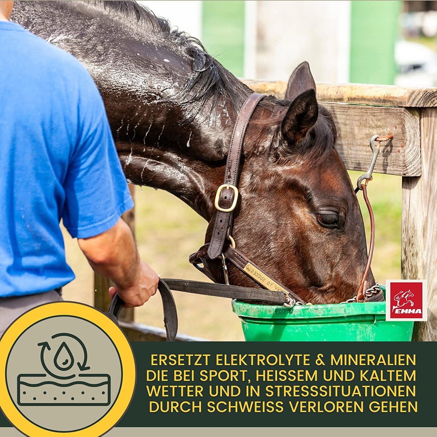 EMMA Elektrolyte 117 Pferd 1L Plus Vitamin b12 I Elektrolyte für Pferde Mineralstoffe Spurenelemente I Natrium Salze Magnesium Pferd I Pferd Elektrolyte bei Durchfall Kotwasser Schwitzen Mineralsalze .png
