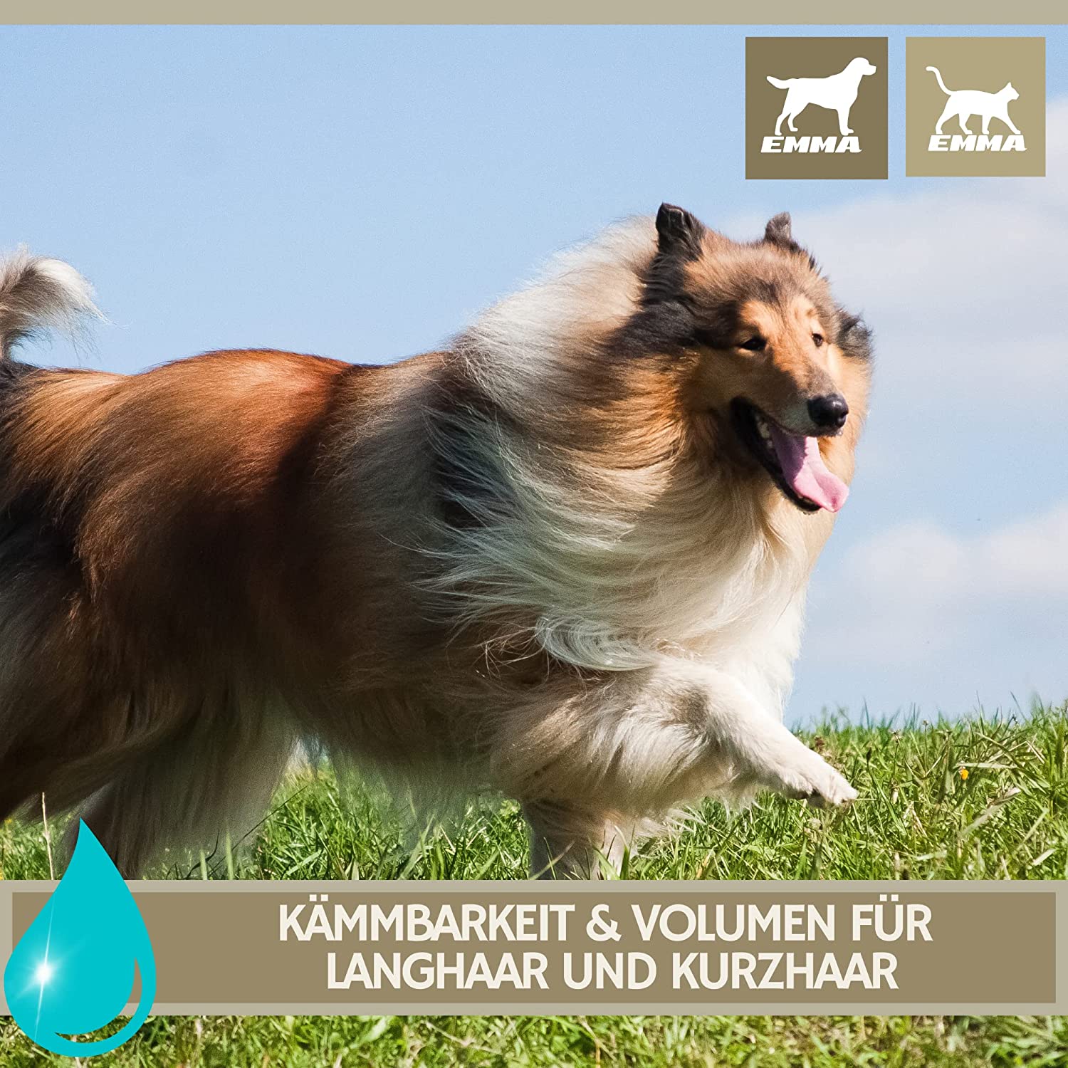 EMMA Entfilzungsspray Hunde I Entfilzungsspray Katze - Hunde Pflege I Fellpflege Hund Katze für Langhaar zum Entfilzen I Pflegespray Haare Hund Katze Welpen I Entfilzer für Hunde I Fellspray 2 * 250ml6.jpg