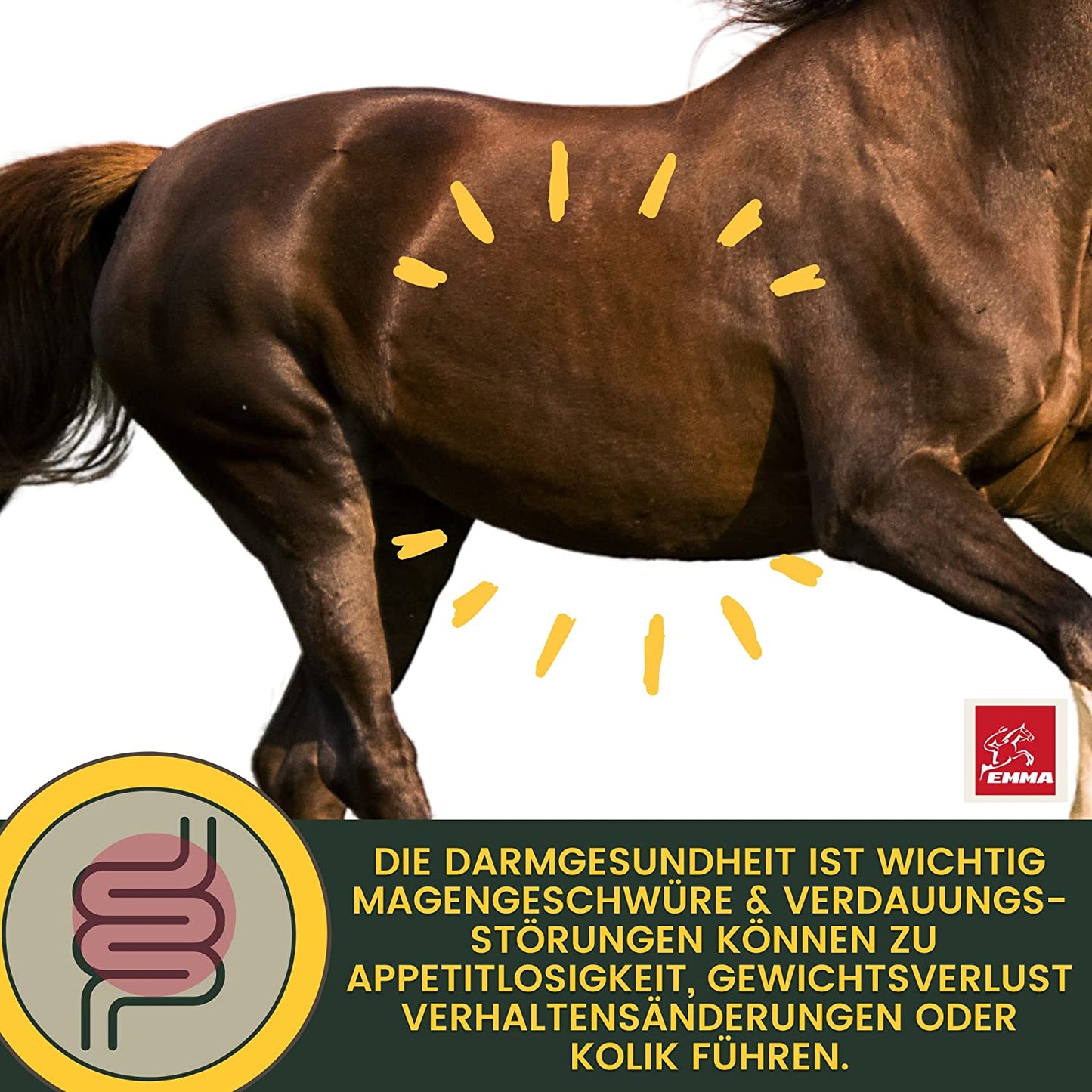 EMMA Gastro Liquid 12 Bierhefe Pferd Liquid 1L – Vitamin B für Pferde plus Biotin Folsäure Zink Selen für glänzendes Fell gesunde Haut für Verdauung Darmflora I mit Mineralien Spurenelemente für Stoffwechel bei Durchfall.jpg