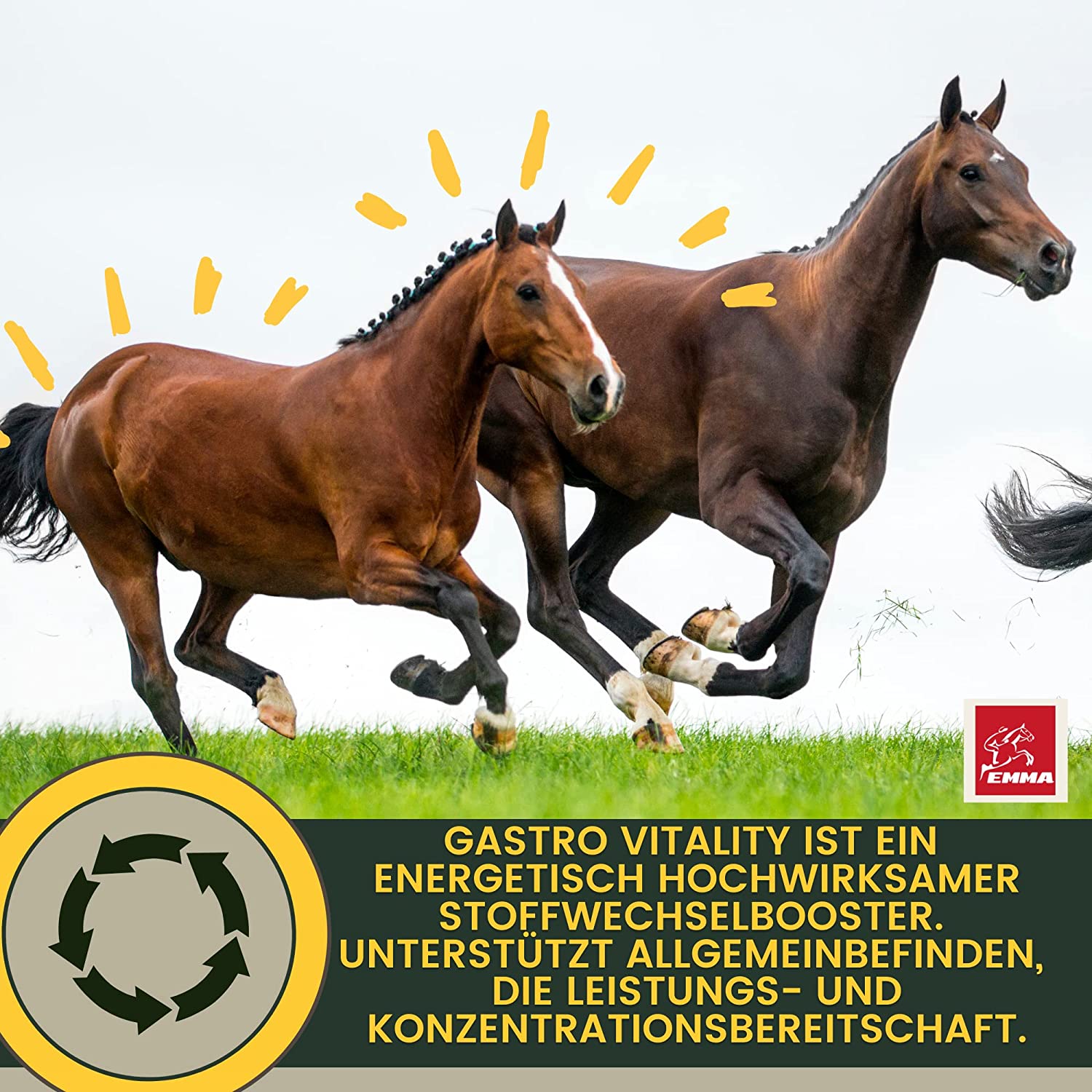 EMMA Gastro Liquid 12 Bierhefe Pferd Liquid 1L – Vitamin B für Pferde plus Biotin Folsäure Zink Selen für glänzendes Fell gesunde Haut für Verdauung Darmflora I mit Mineralien Spurenelemente für Stoffwechel bei Durchfall.jpg