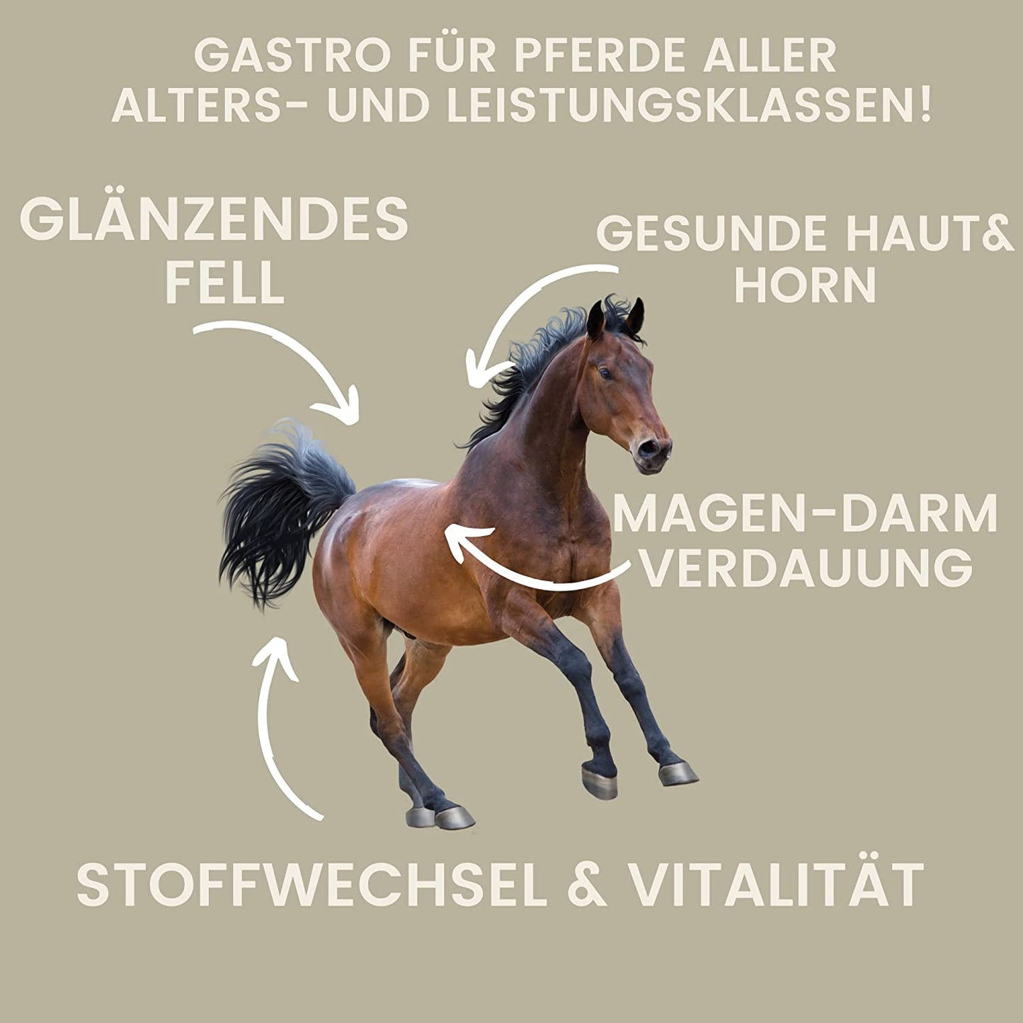 EMMA Gastro Liquid 12 Bierhefe Pferd Liquid 1L – Vitamin B für Pferde plus Biotin Folsäure Zink Selen für glänzendes Fell gesunde Haut für Verdauung Darmflora I mit Mineralien Spurenelemente für Stoffwechel bei Durchfall.jpg