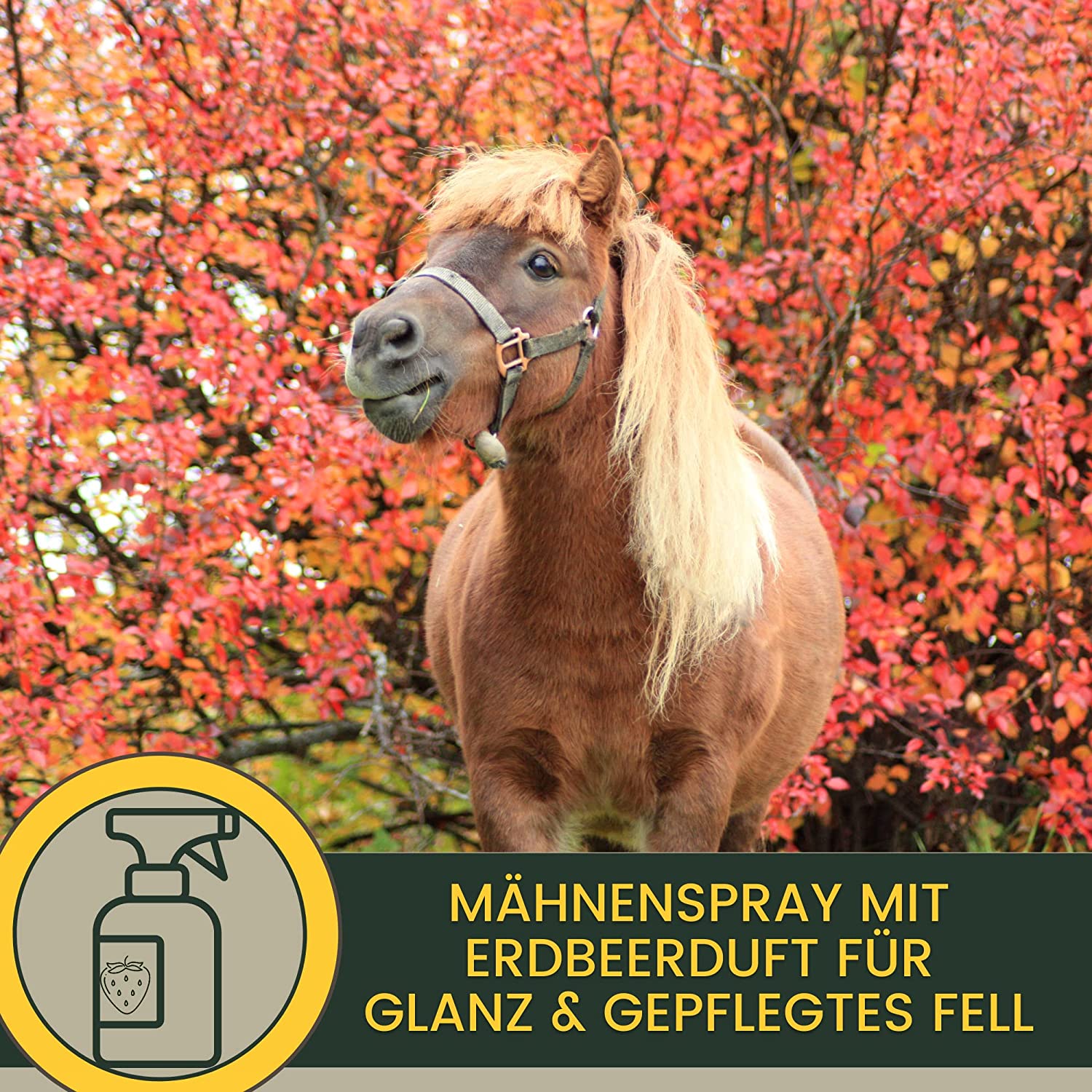 EMMA Pferde Leckerlies Hufbalsam Mähnenspray für Pferde EMMA Set 66 Leckerli Pferd Banane - Glitzerspray für Pferde - Pferdezubehör - Huffett Hufpflege Pferdepflege für Pferde Set 3tlg für Fell Mähne Schweif Hufe 