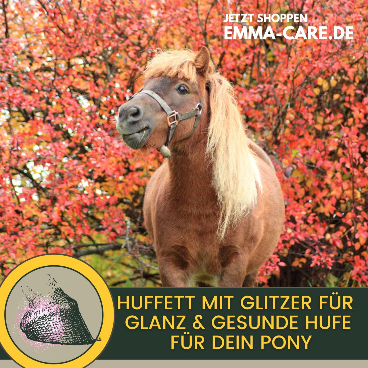 EMMA Huffett Pferde mit Glitzer 500ml Hufpflege für Pferde mit Lorbeeröl I Hufbalsam I Hufcreme Starke Hufe I Huffestiger I Hufsalbe gegen rissige Hufe I Schutz für trockene Hufe Strahlfäule Pferd .png