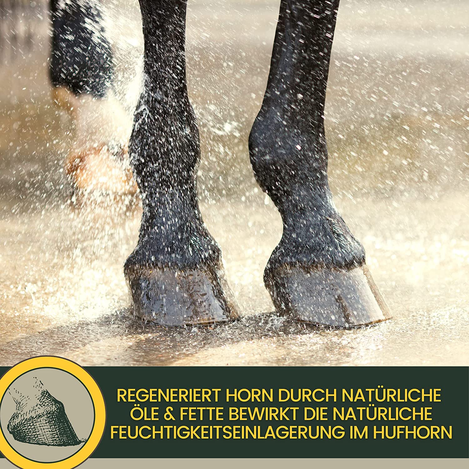 EMMA Huffett Pferde 2 * 500ml Hufpflege für Pferde mit Lorbeeröl  Wallnussöl I Hufbalsam I Hufcreme Starke Hufe I Huffestiger I Hufsalbe gegen rissige Hufe I Schutz trockene Hufe  Strahlfäule Pferd