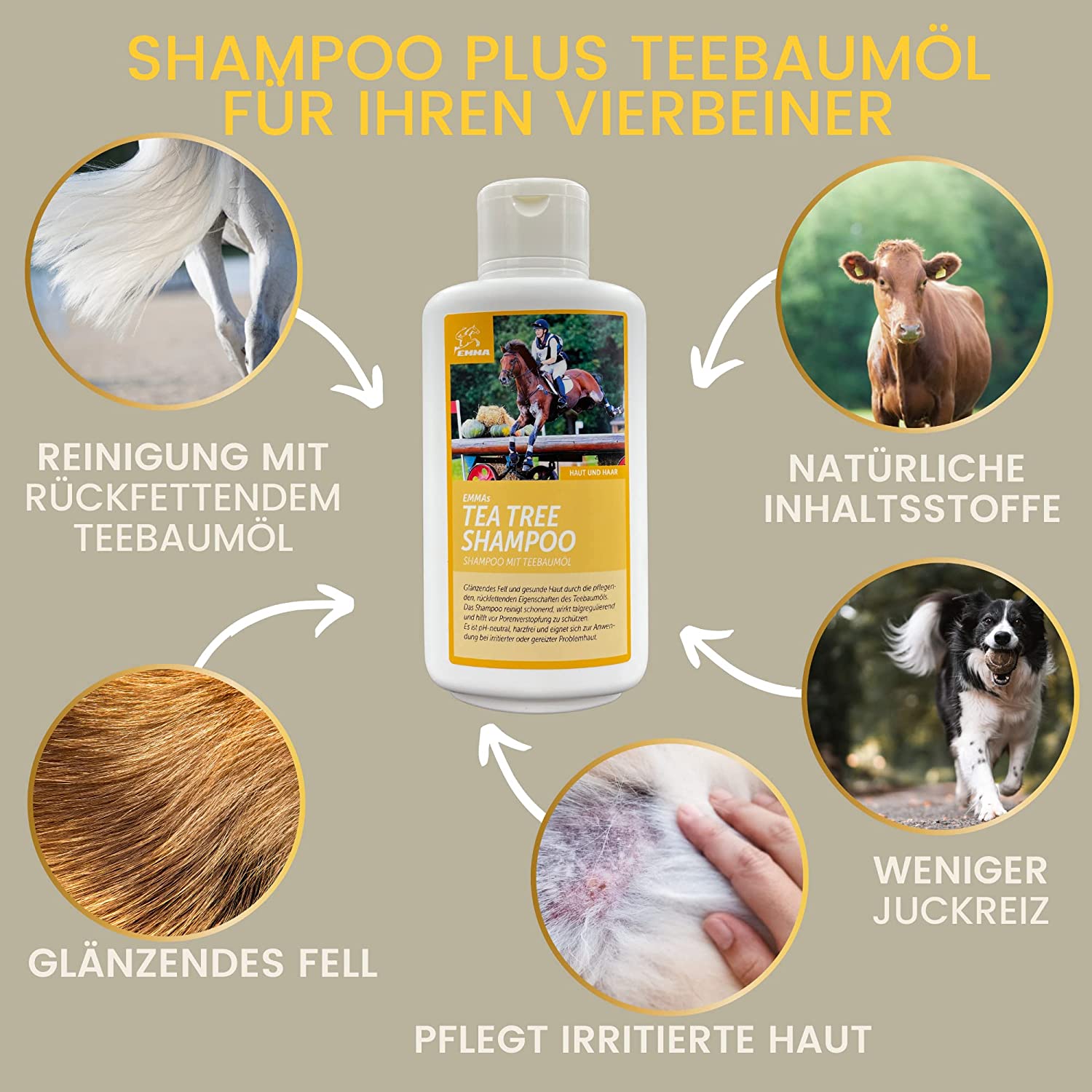 EMMA Hunde 3 Tea Tree Shampoo Pferdeshampoo mit Teebaumöl für Hunde Pferde 500ml I mildes Pferde Shampoo ph neutral I Pferdepflege glänzendes Fell I Hundeshampoo I für trockene & irritierte Haut I Fellpflege4.jpg