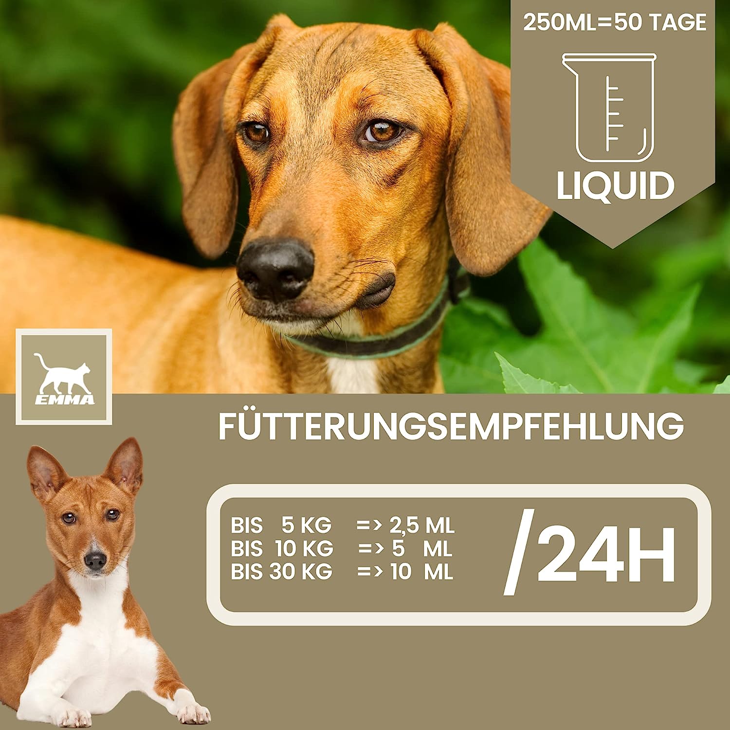  EMMA Haut und Fell Vital  Barf Öl für Katzen & Hunde - Omega 3 & 6 Barföl aus- Leinöl Distelöl Wallnussöl I Futteröl + Vitamin E I Futter Barf Zusatz reich an Omega 3 Omega 6 Fettsäuren ohne Zusätze I Fell Haut Energie 0,25l1.jpg