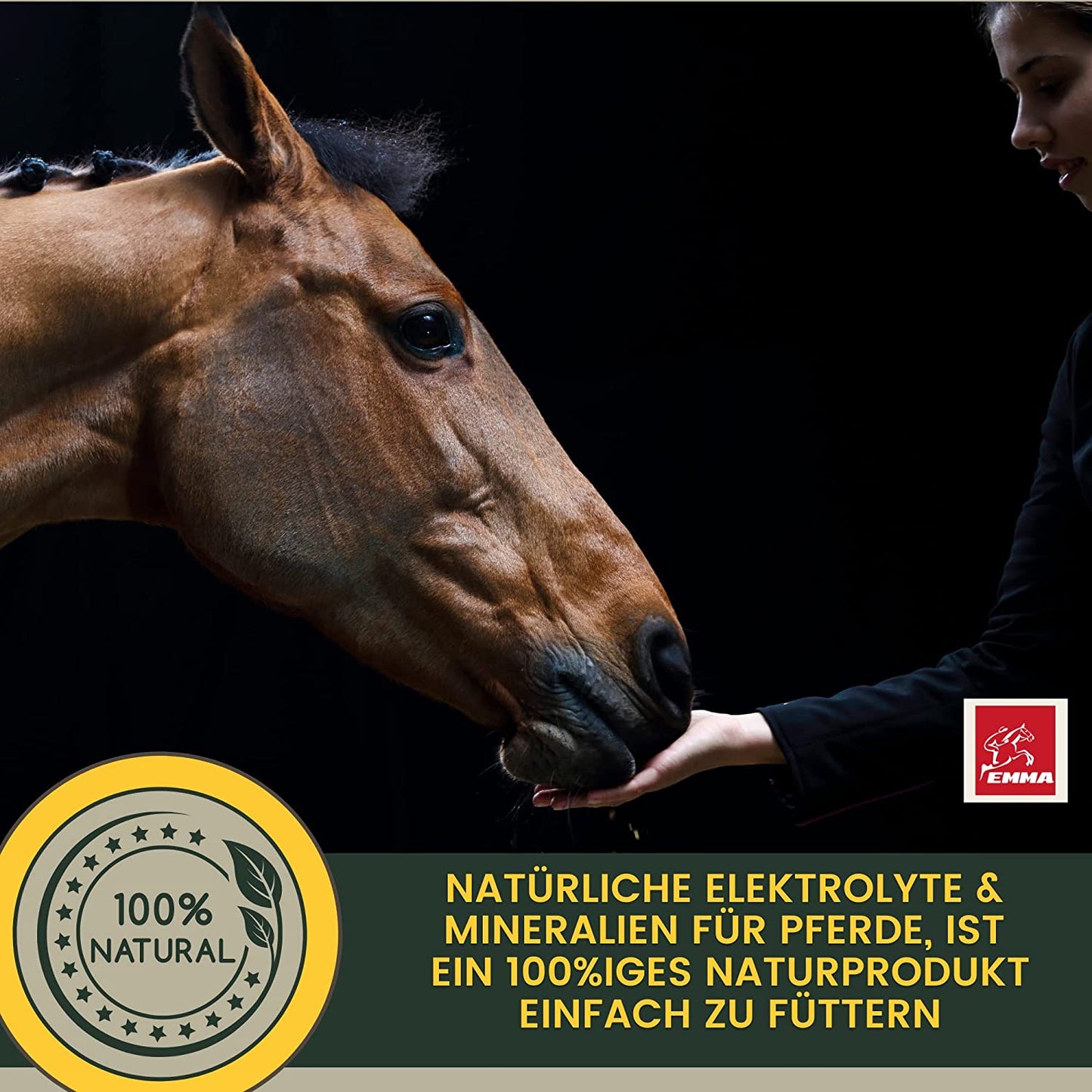 EMMA Life 6 Elektrolyte Pulver Plus Aminosäuren für Pferde I 100% natürlich I Elektrolyt Pulver mit Vitaminen Amino Energy Magnesium I Hydrate zur Unterstützung Leistung & Regeneration nach Sport Training 2,5Kg6.jpg