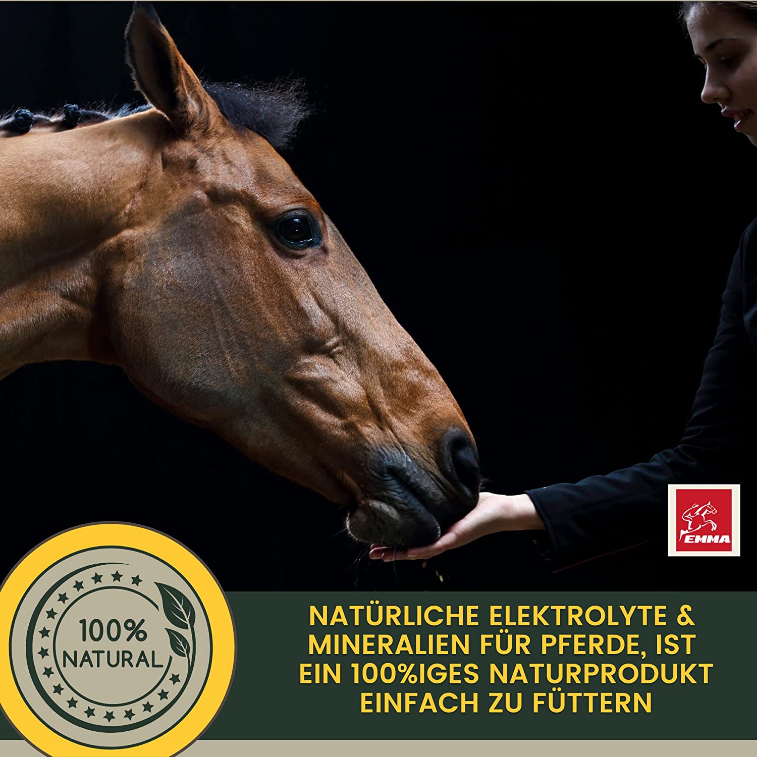 Elektrolyte Pferd I Aminosäuren Mineralien Magnesium Vitamine Elektrolyt Pulver I Elektrolyt-Pulver Sport Durchfall Muskelkater Electrolyte Powder Energy & Recovery für Pferde 700g1L30ml.jpg